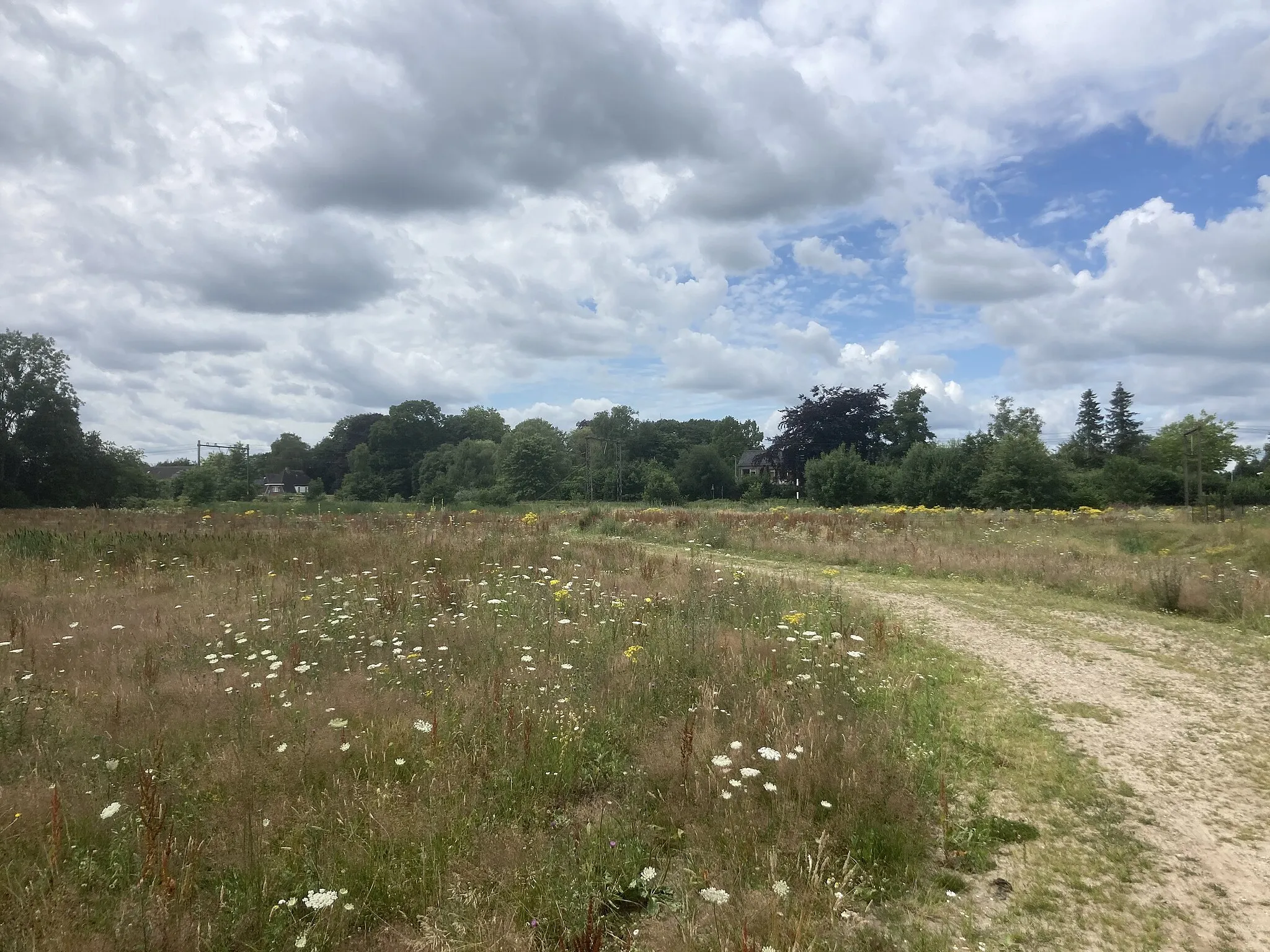 Photo showing: beilen landweg zandweg