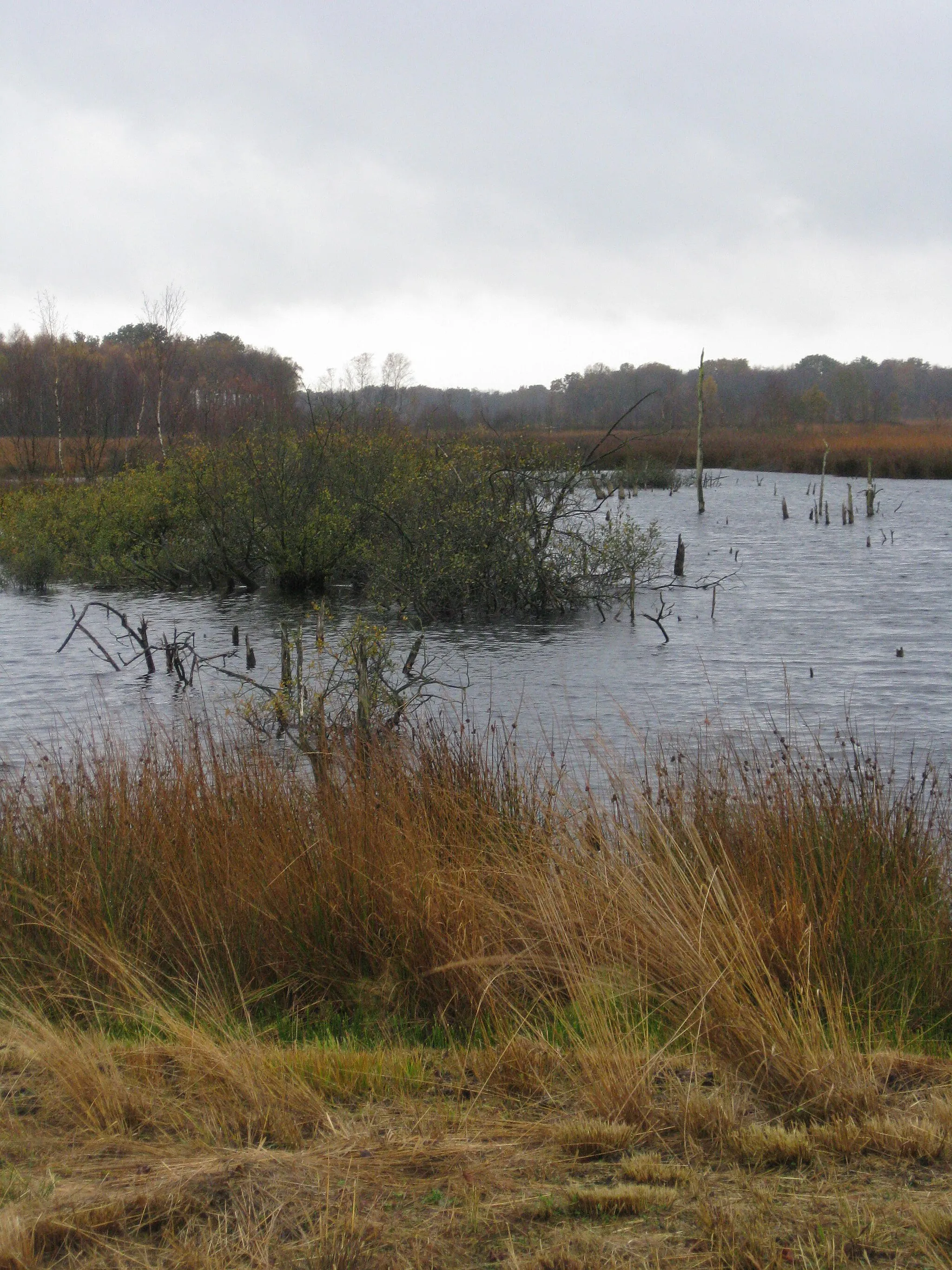 Afbeelding van Drenthe