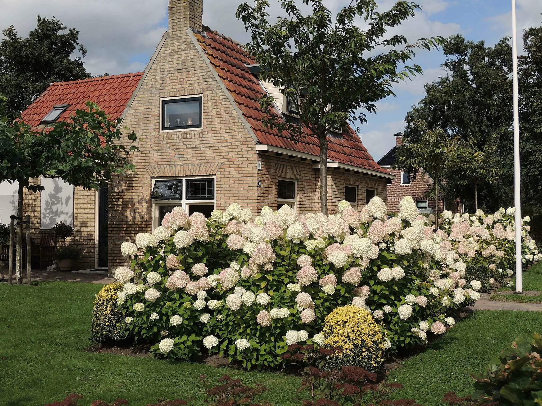 Photo showing: Woning met bloemenpracht aan het Wyldpaad