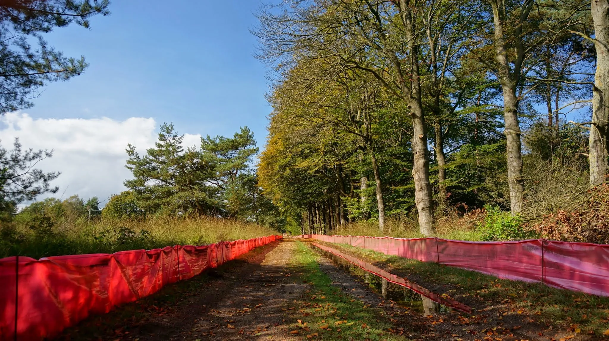 Afbeelding van Gelderland