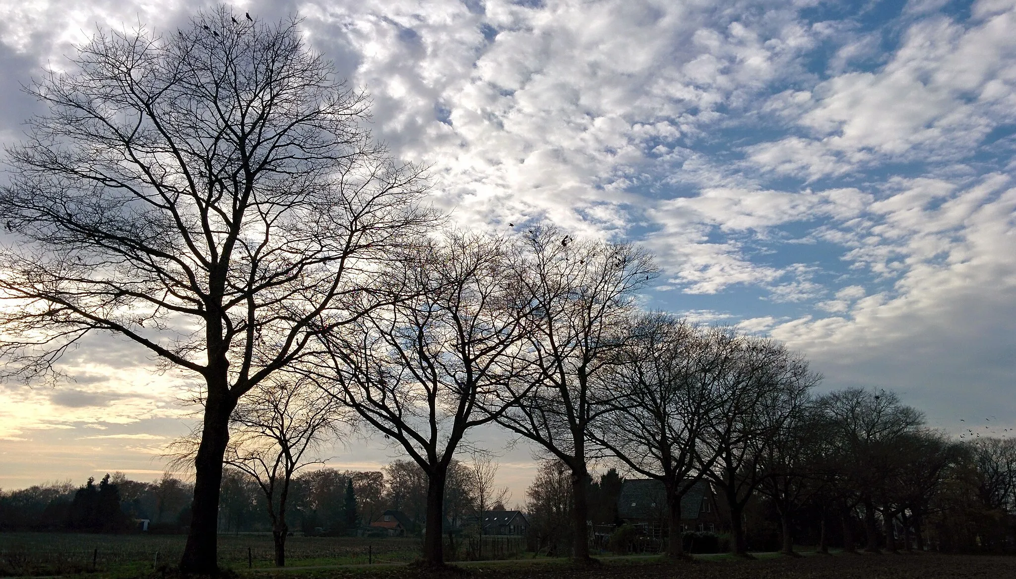 Bild von Gelderland