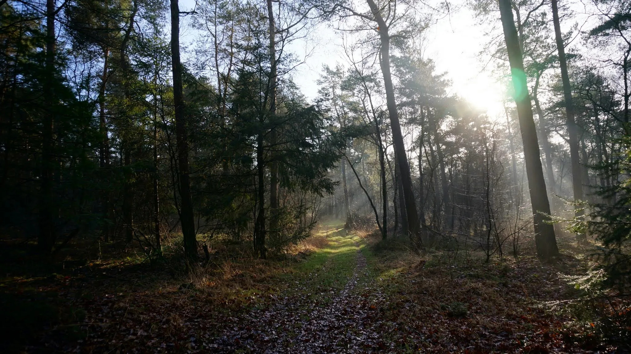 Afbeelding van Gelderland