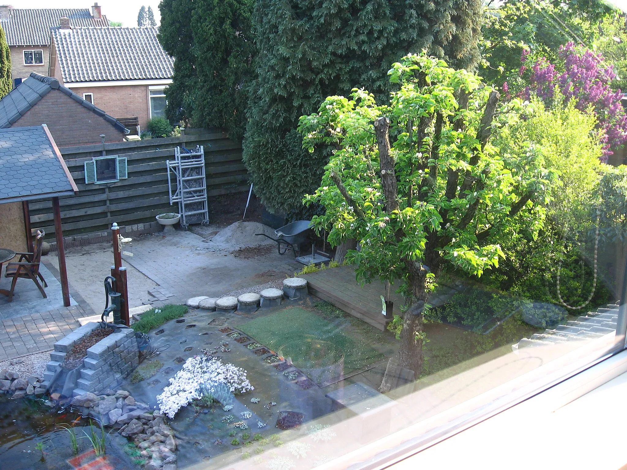 Photo showing: Morning picture of my backyard