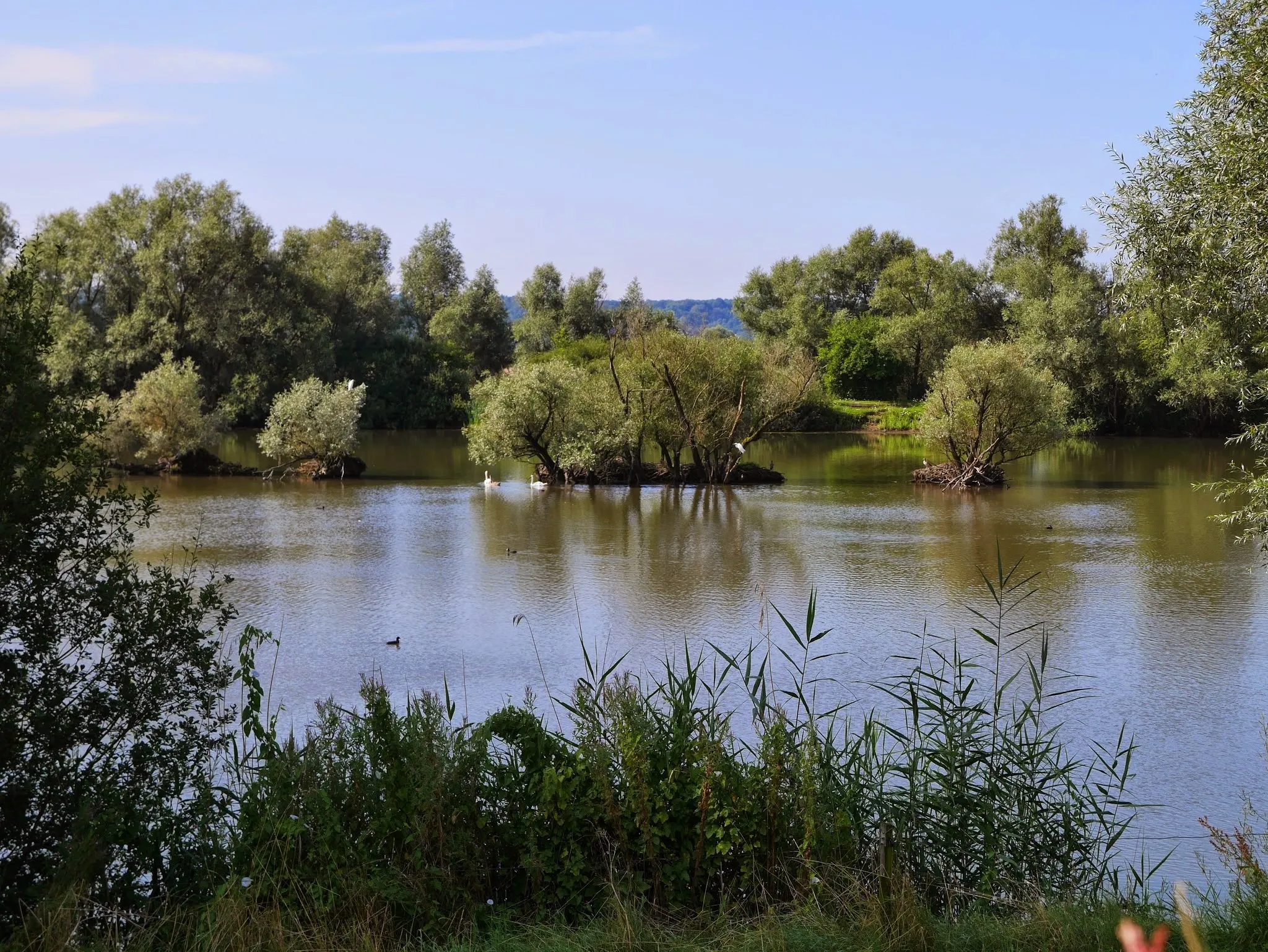 Afbeelding van Gelderland