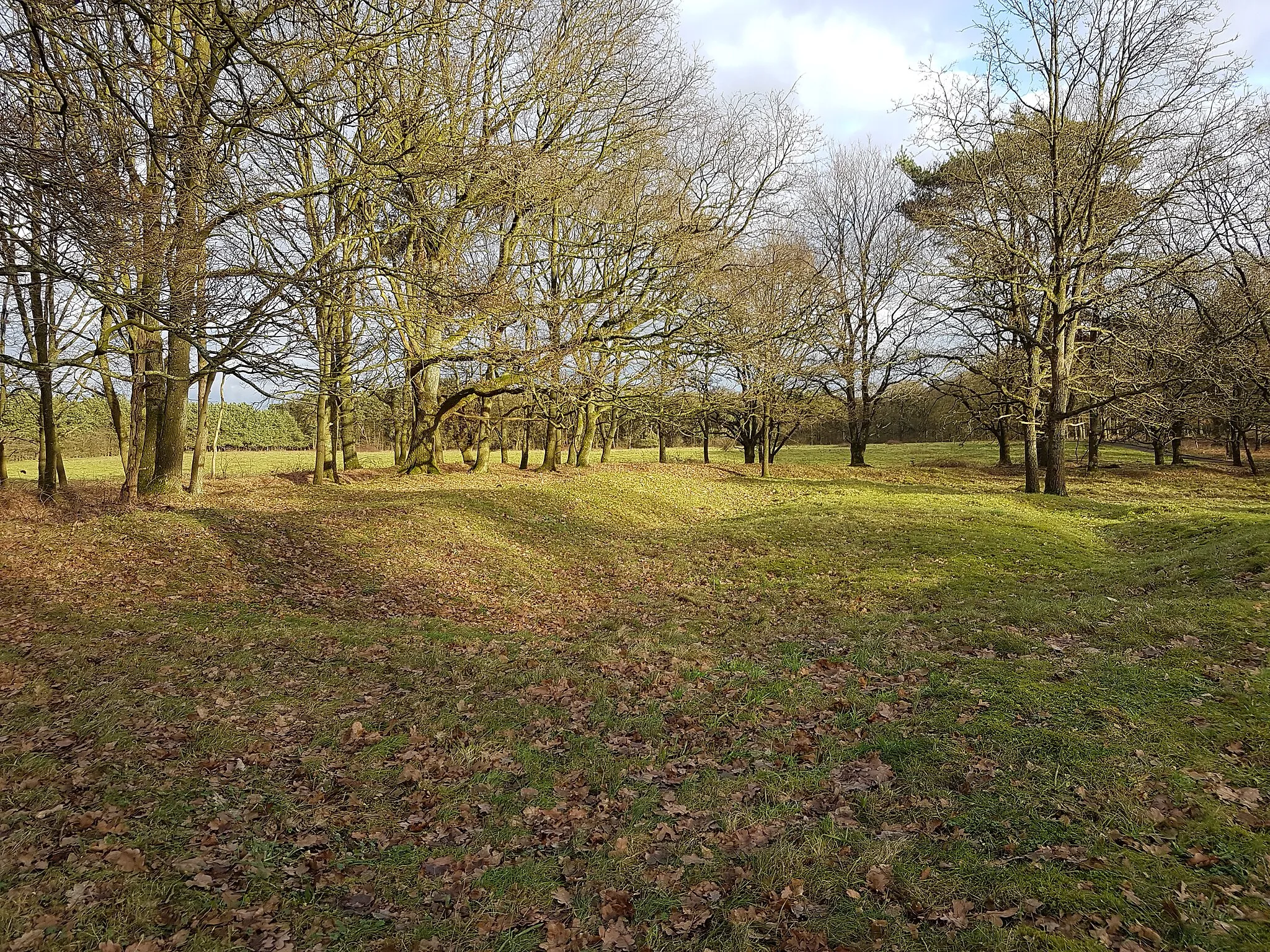 Photo showing: Visible remains of the position of the former church of Wolfheze.