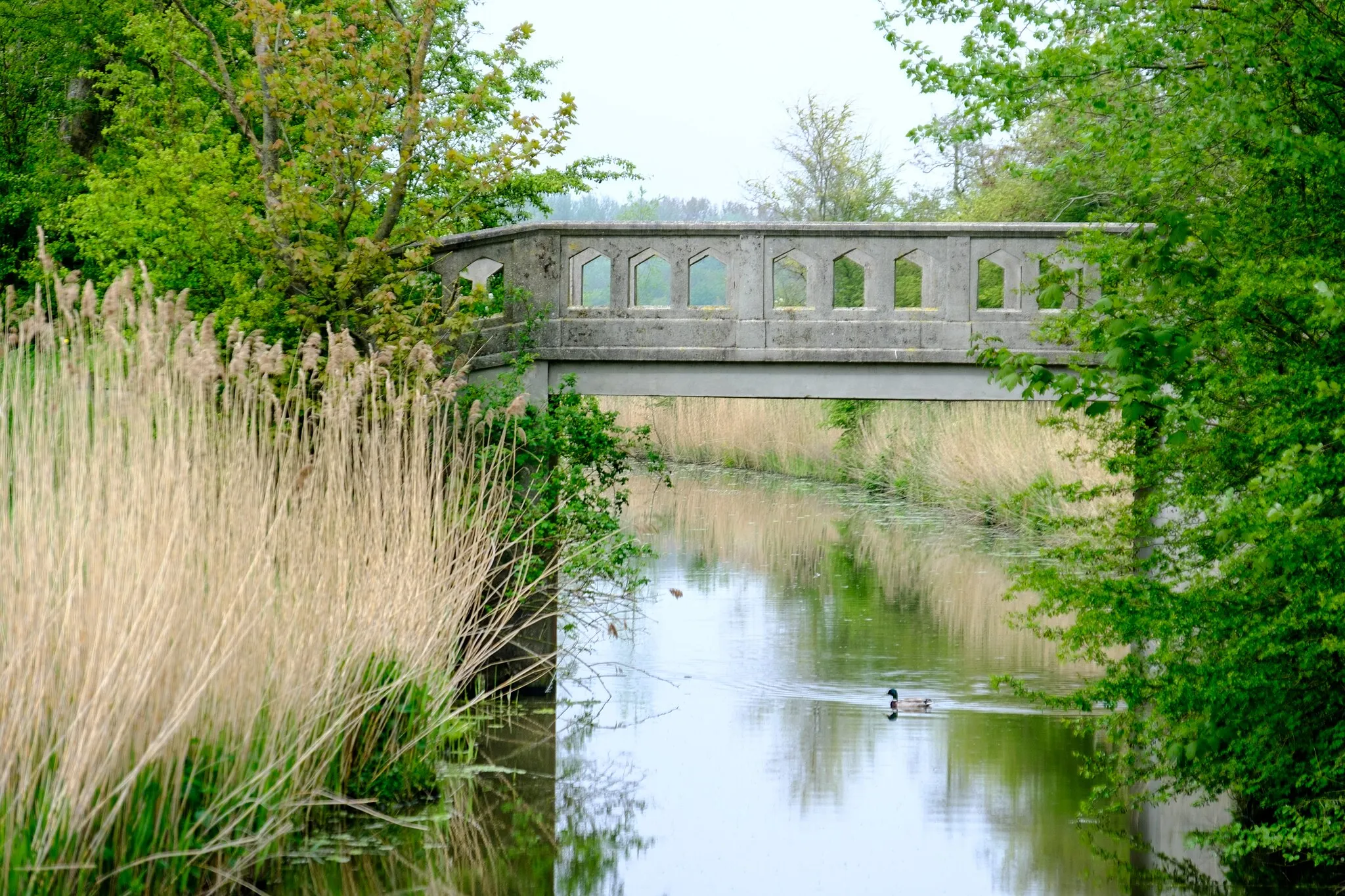 Photo showing: Brug over de Andelstermaar in de Oude Kievesterweg gezien vanaf het Kanaal Baflo-Mensingeweer/Rasquerdermaar