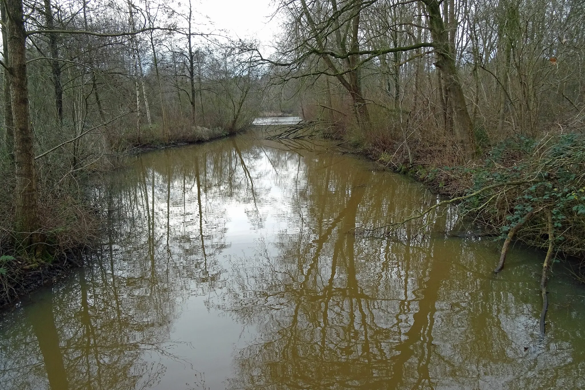 Photo showing: Het Pagebos en Pagediep in Stadskanaal