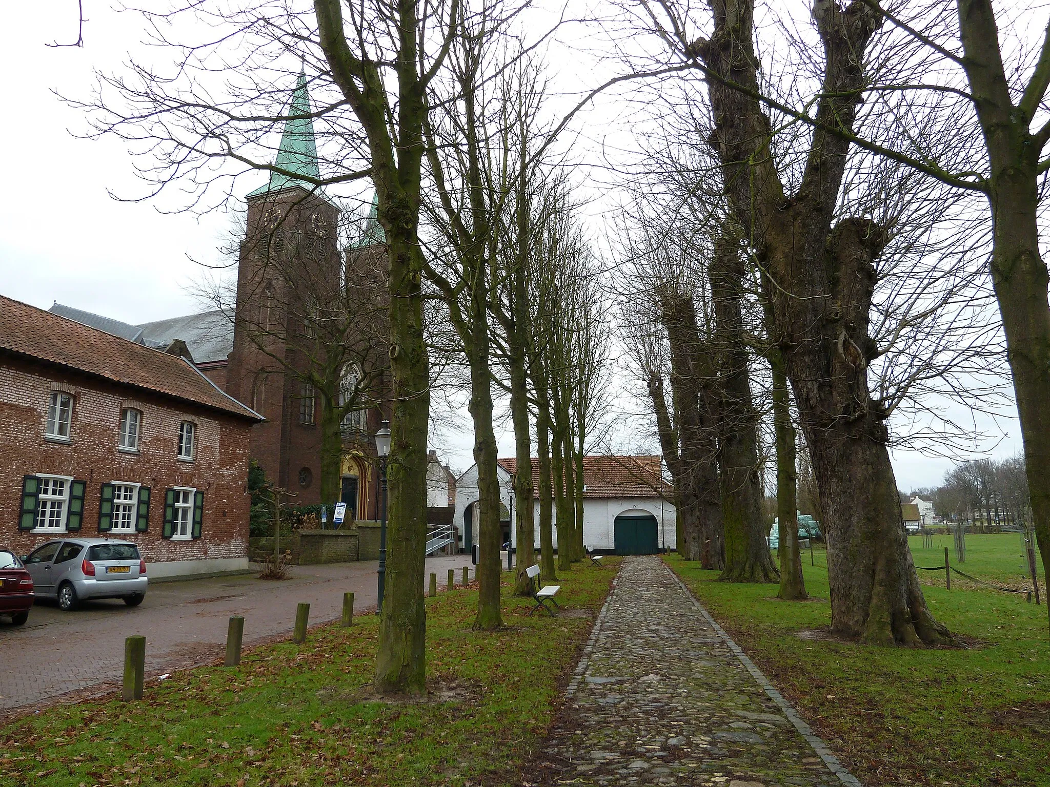 Photo showing: Trees before the church of Amstenrade, Limburg, the Netherlands