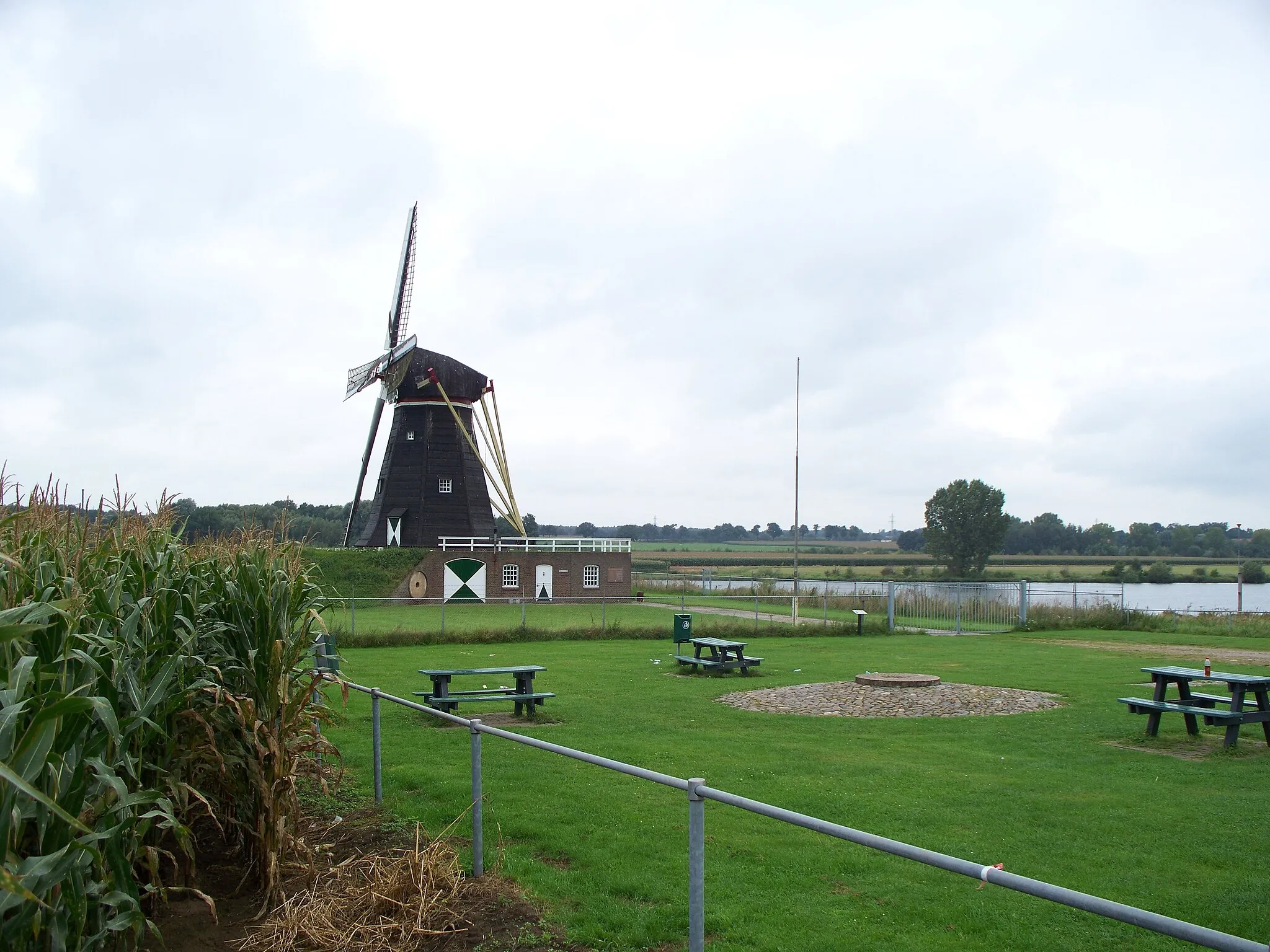 Photo showing: Windmolen de Grauwe Beer, Beesel, Ouddorp