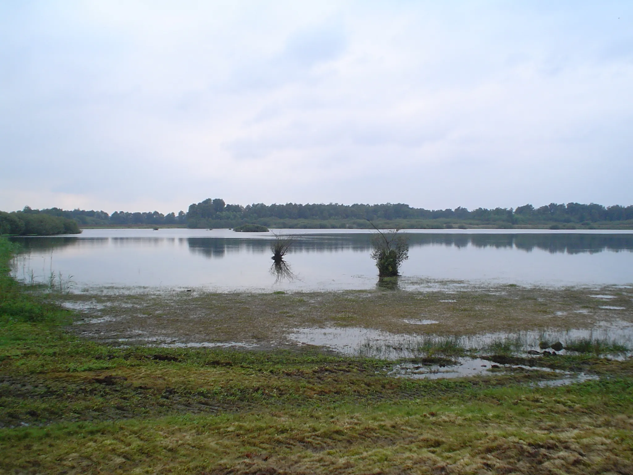 Photo showing: "De Banen", a lake in the nature area "Sarsven en De Banen", near Nederweert, Netherlands.