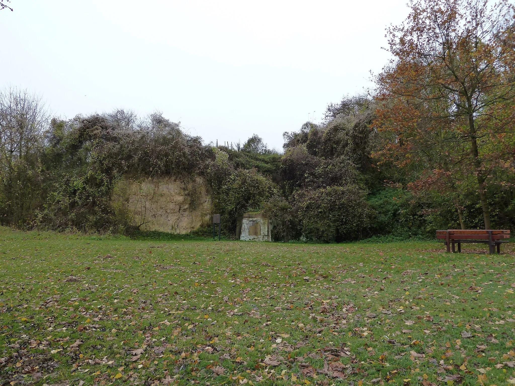 Photo showing: Geological monument Groeve Midweg, Voerendaal, Limburg, the Netherlands