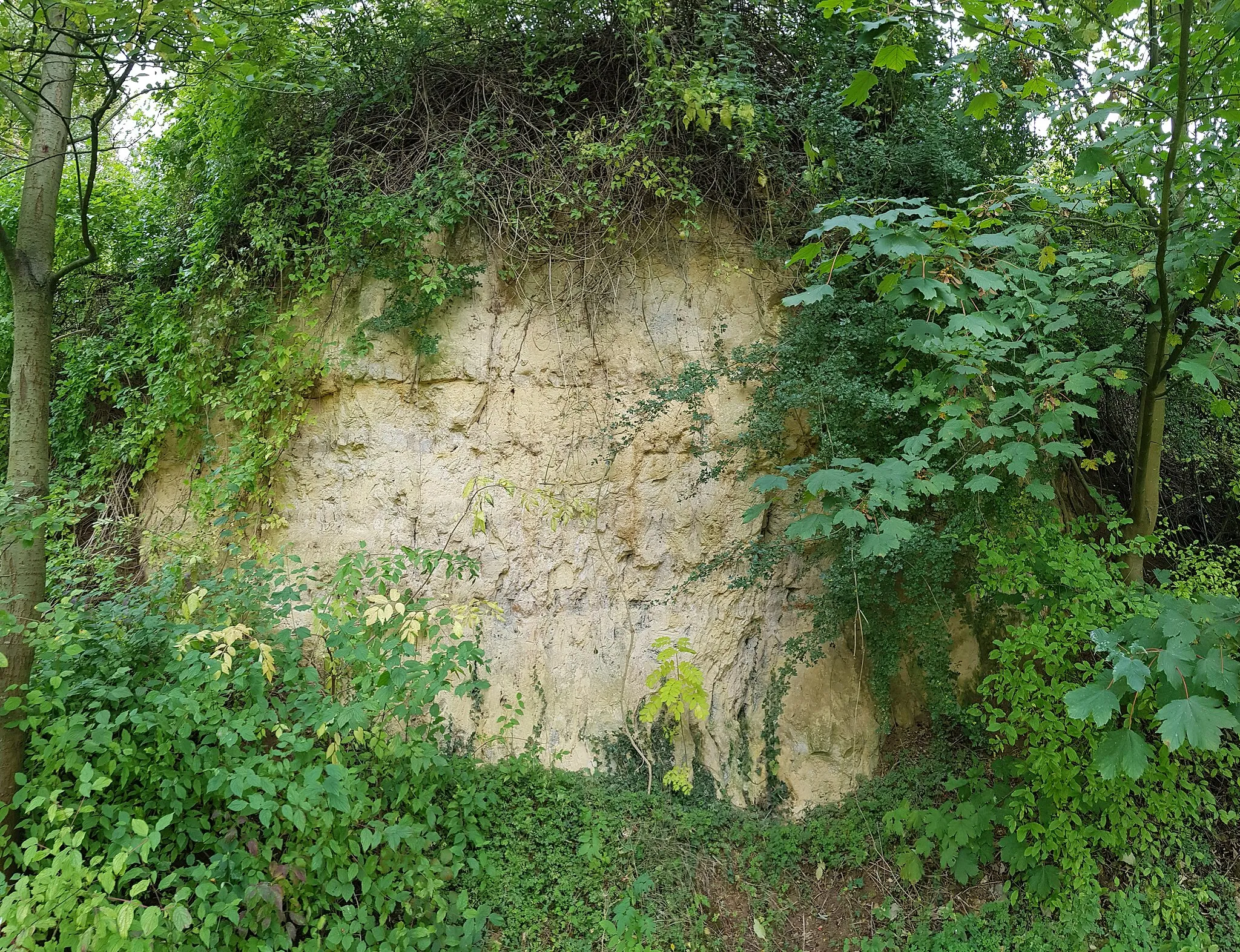 Photo showing: Geologisch monument Groeve Midweg, Voerendaal, Limburg, Nederland