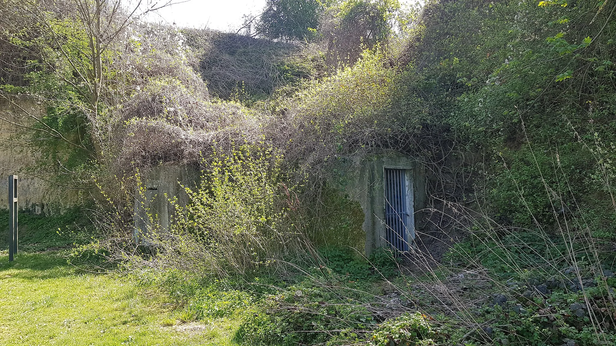 Afbeelding van Limburg