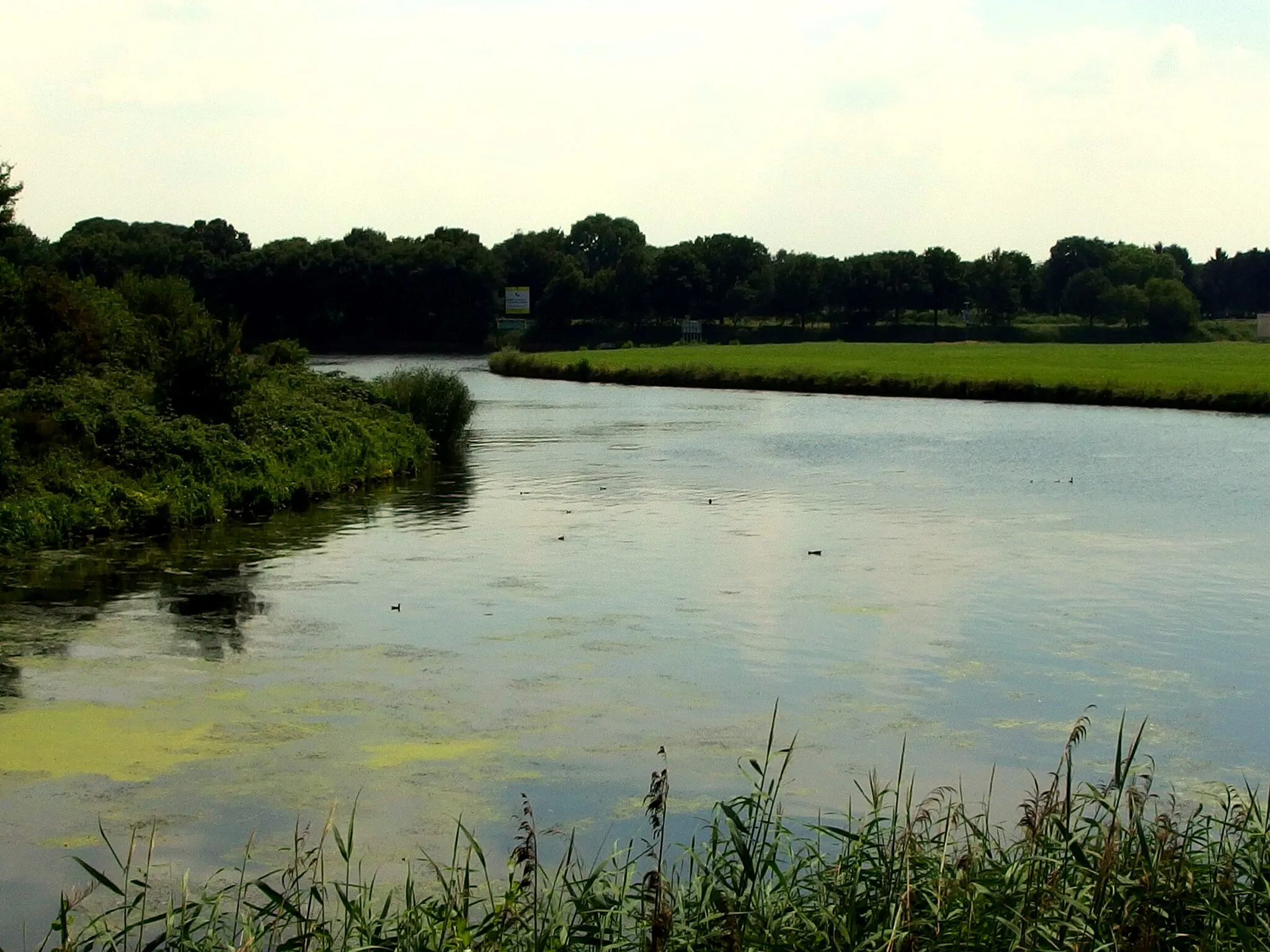 Photo showing: 2014-07-24 Junction of Zuid-Willemsvaart, Noordervaart and Kanaal Wessem - Nederweert near Sluis Hulsen in Nederweert.
