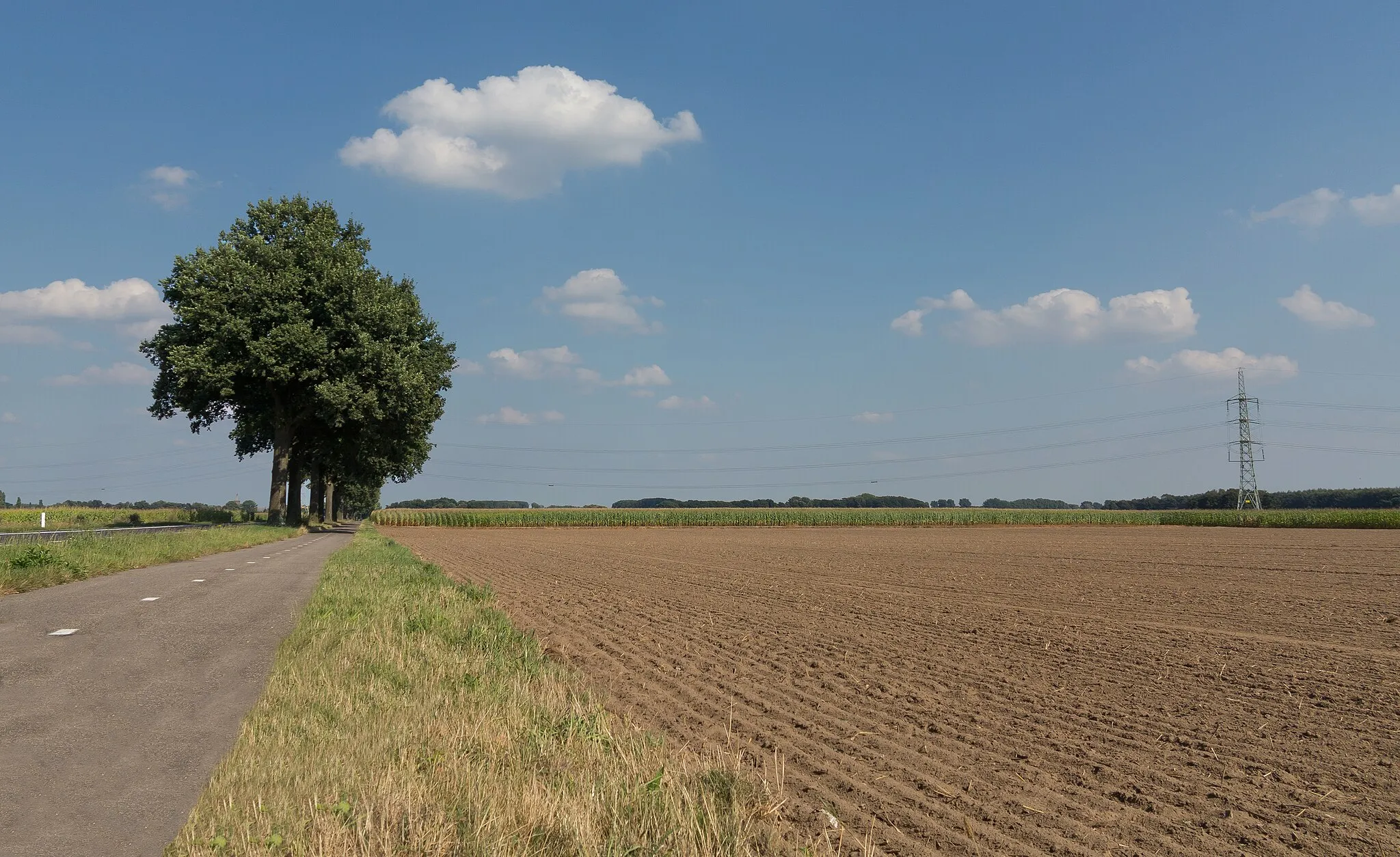 Photo showing: near Posterholt, road panorama