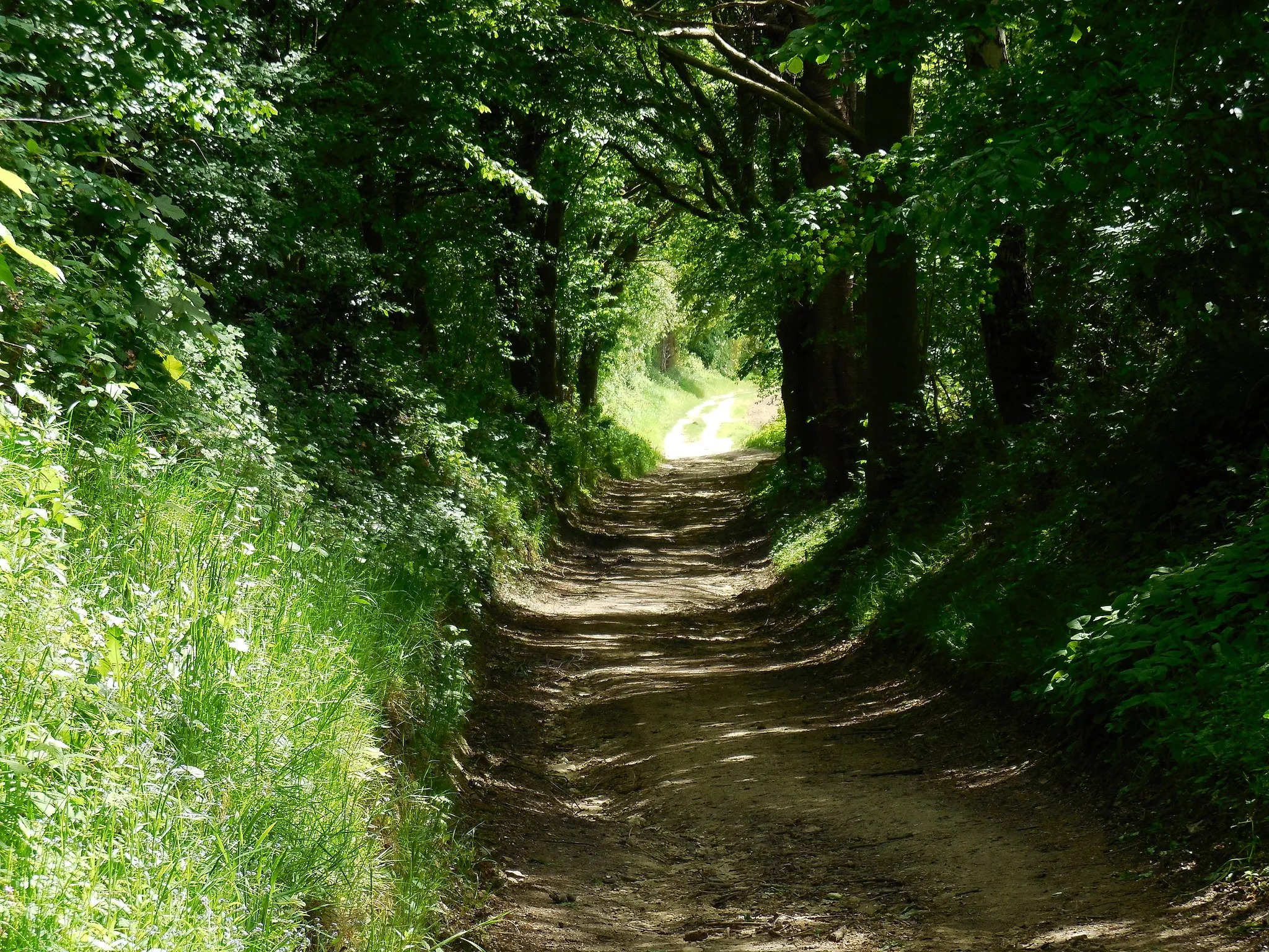 Photo showing: Voorbeeld van een mooie holle weg in Puth