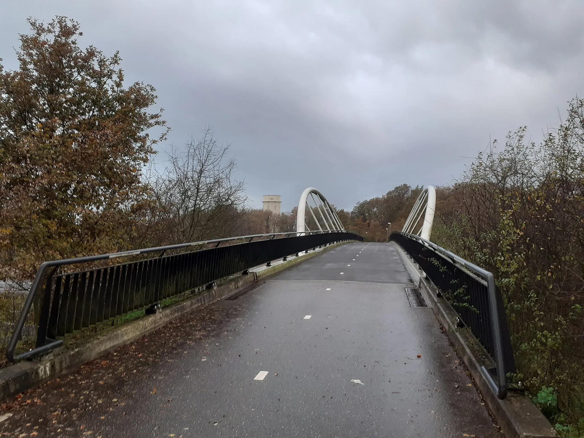 Photo showing: Bicycle bridge over the A74 motorway in the Netherlands.