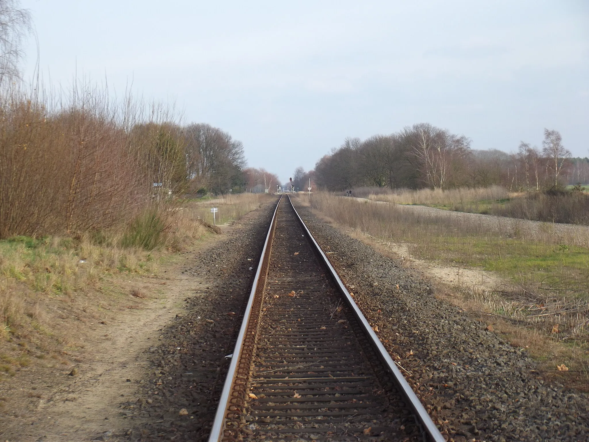 Photo showing: Spoorlijn Hamont - Budel gezien vanaf spoorwegovergang Budel-Schoot richting Weert.