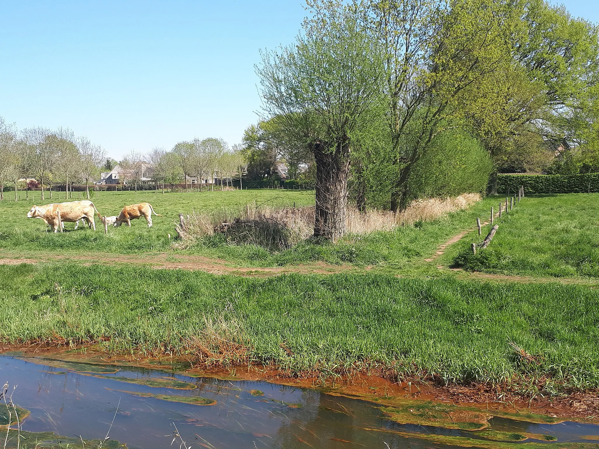 Photo showing: The Groote Beerze nearby the urban area of the village Hapert