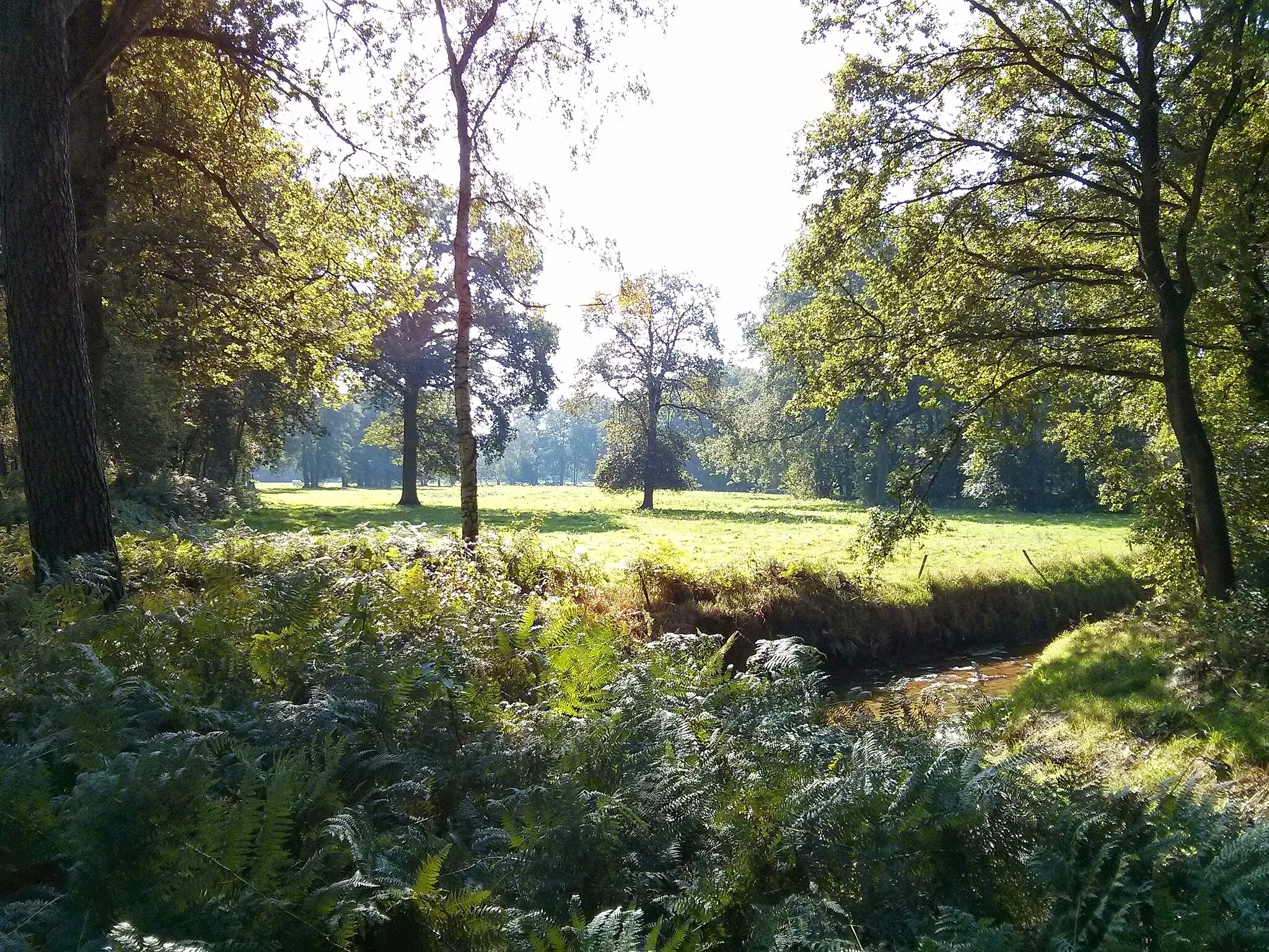 Afbeelding van Nord-Brabant