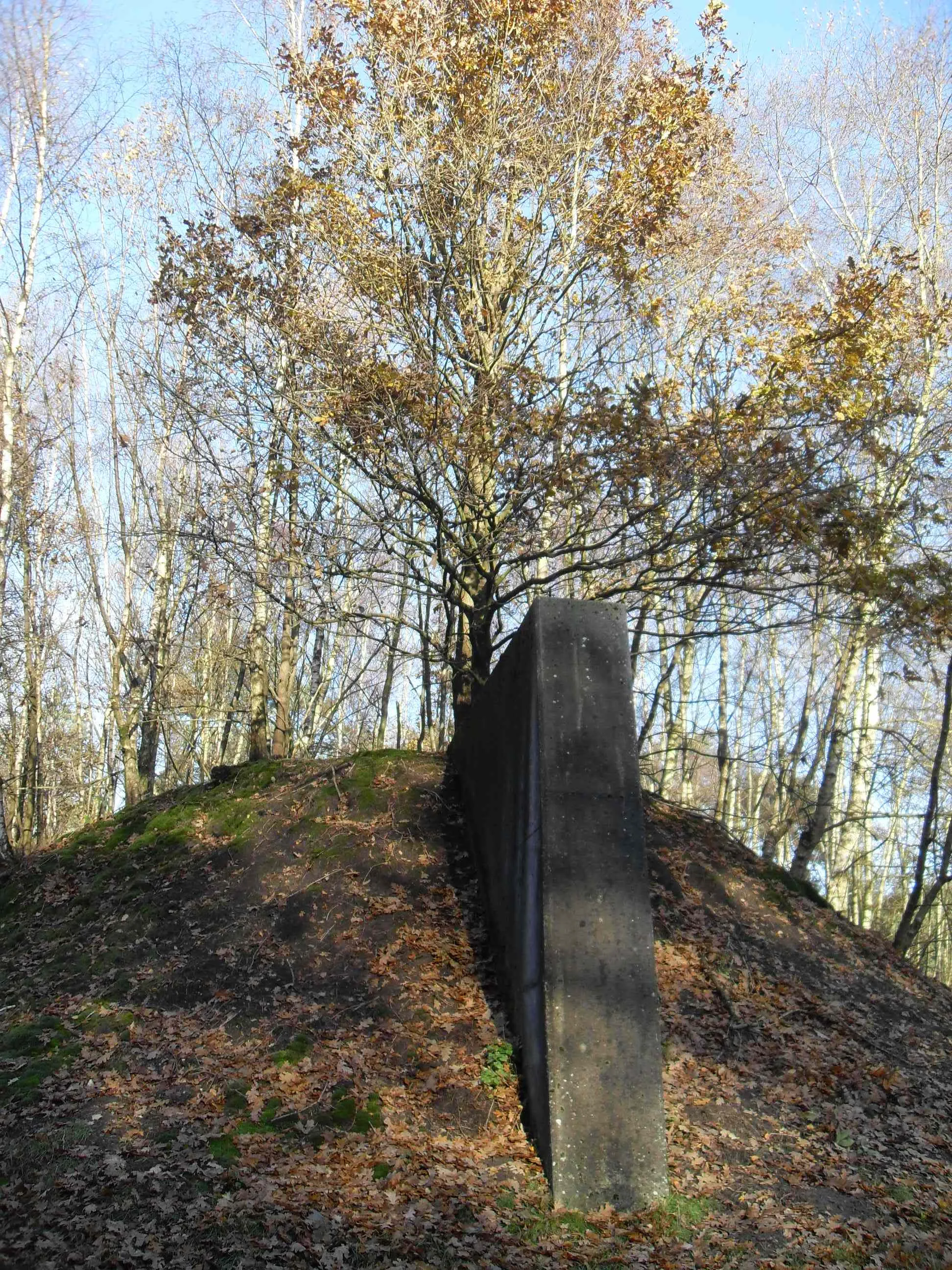 Photo showing: Betonmuur