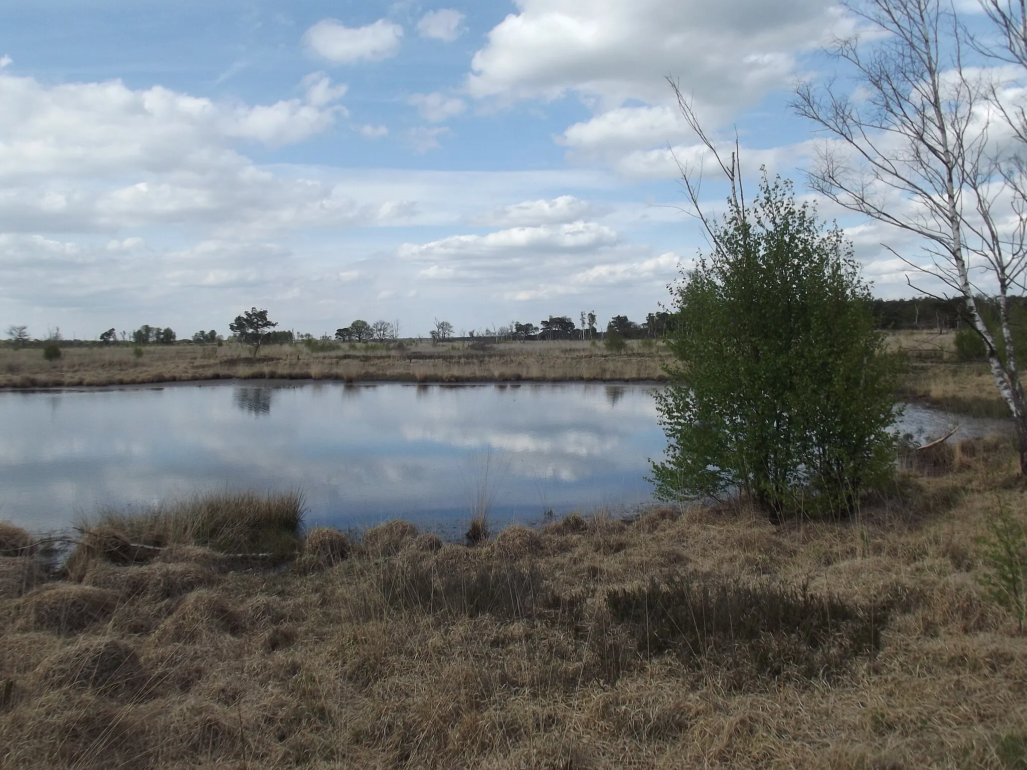 Afbeelding van Nord-Brabant