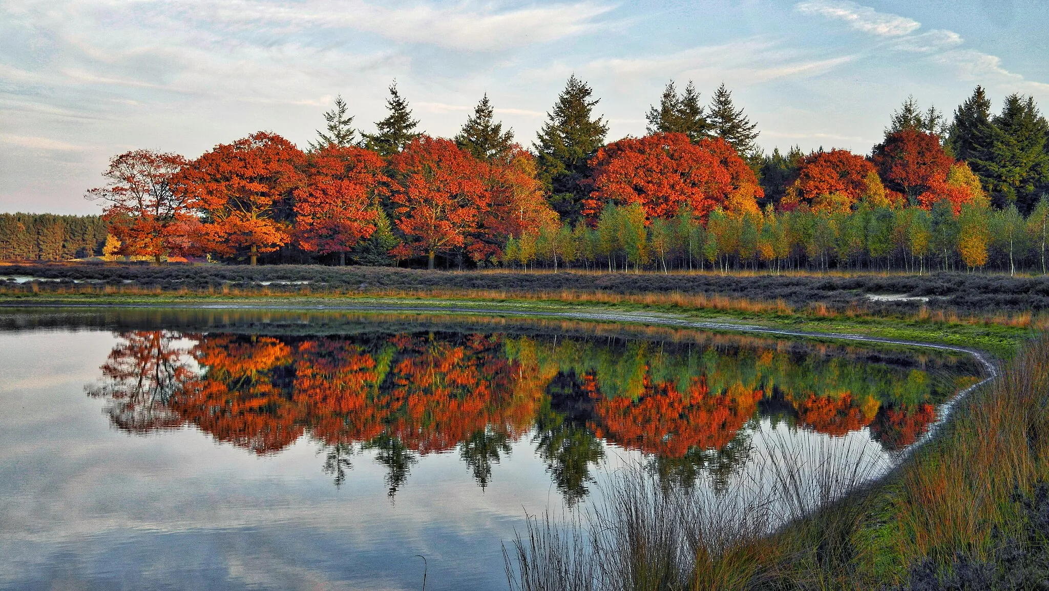 Photo showing: Zicht op een deel van de Somerense Heide - herfst 2015