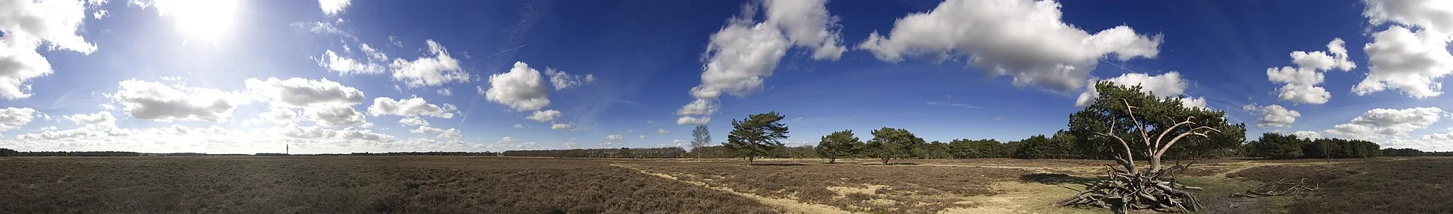 Photo showing: 360° view of the Bussumerheide, Bussum, The Netherlands