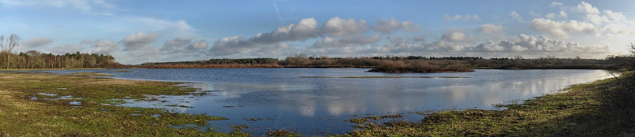 Photo showing: Weide van Brasser (Brasser's Meadow), located in the  Northern Holland Dune Reserve near Castricum