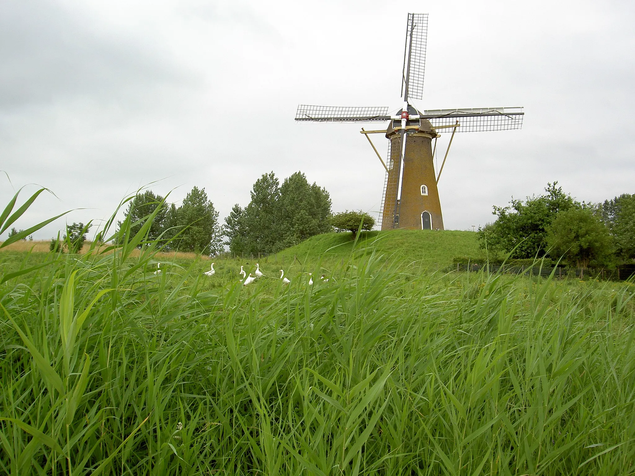 Photo showing: De Eersteling in Hoofddorp (eigen foto)