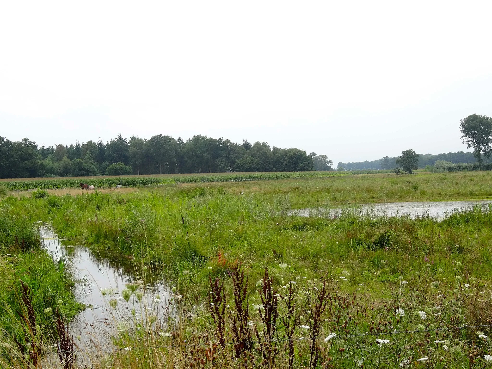 Photo showing: De Boven-Regge ten zuidwesten van Diepenheim