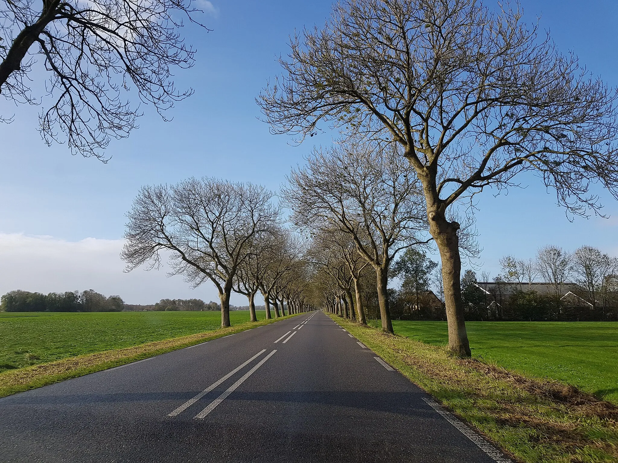 Photo showing: de lange rechte weg die in de regio veel voorkomt: Ossenzijlerweg, Oldemarkt, Nederland