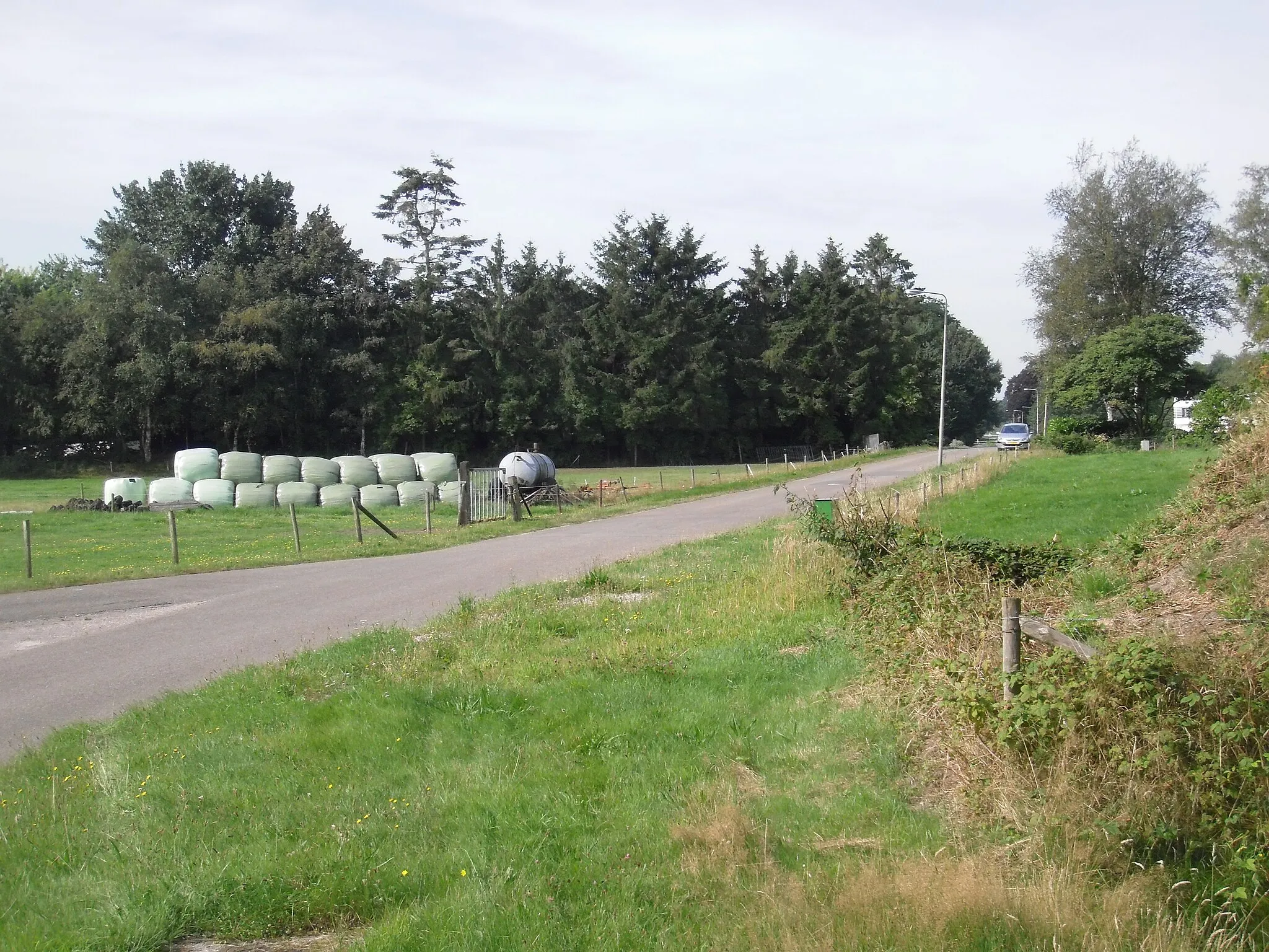 Photo showing: Bergweg - Steenwijk - 2009