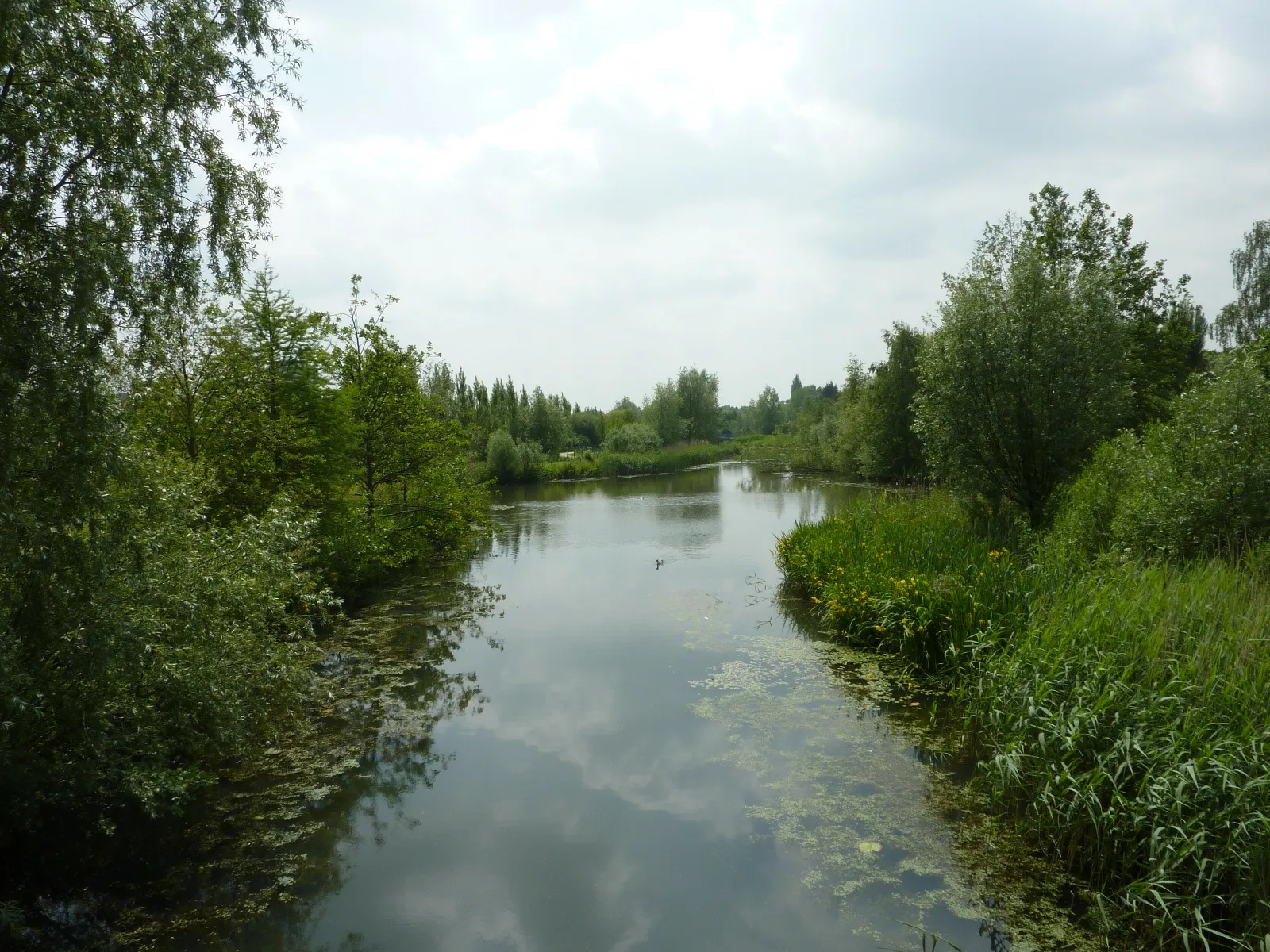 Photo showing: Beeld van het Meentpark in De Meern