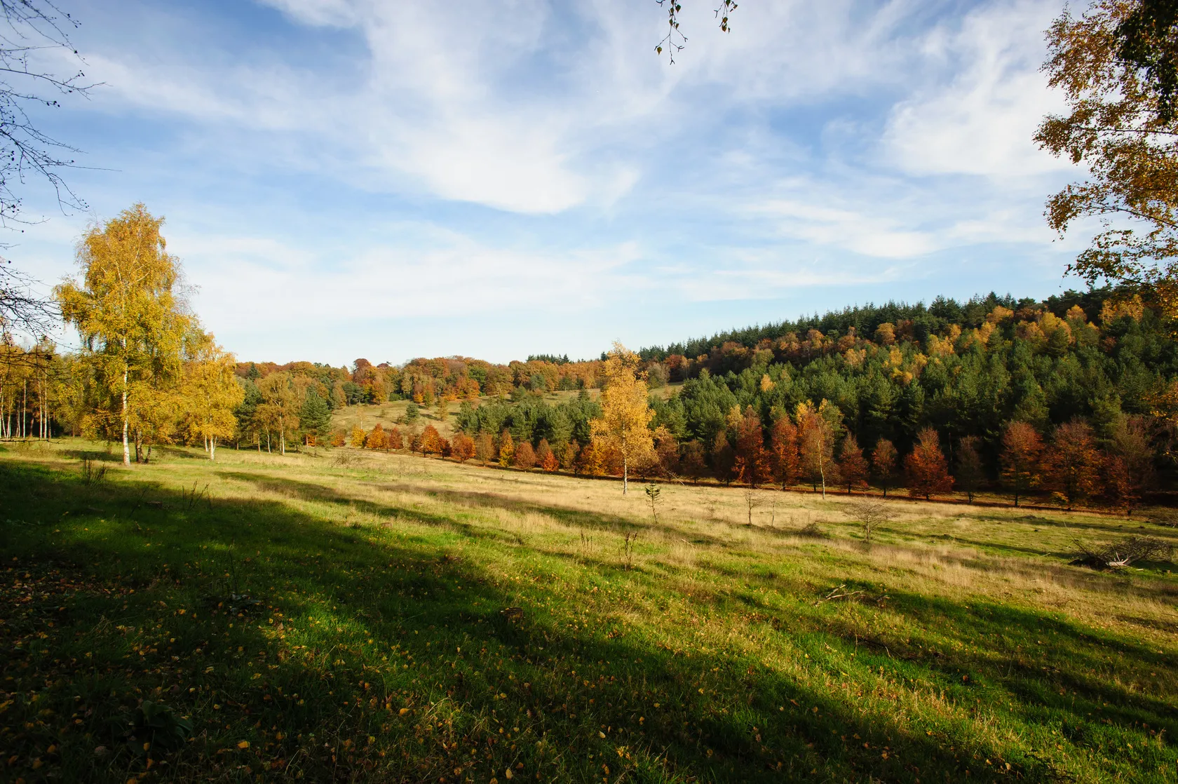 Photo showing: Autumn landscape near Soest, Netherlands.
