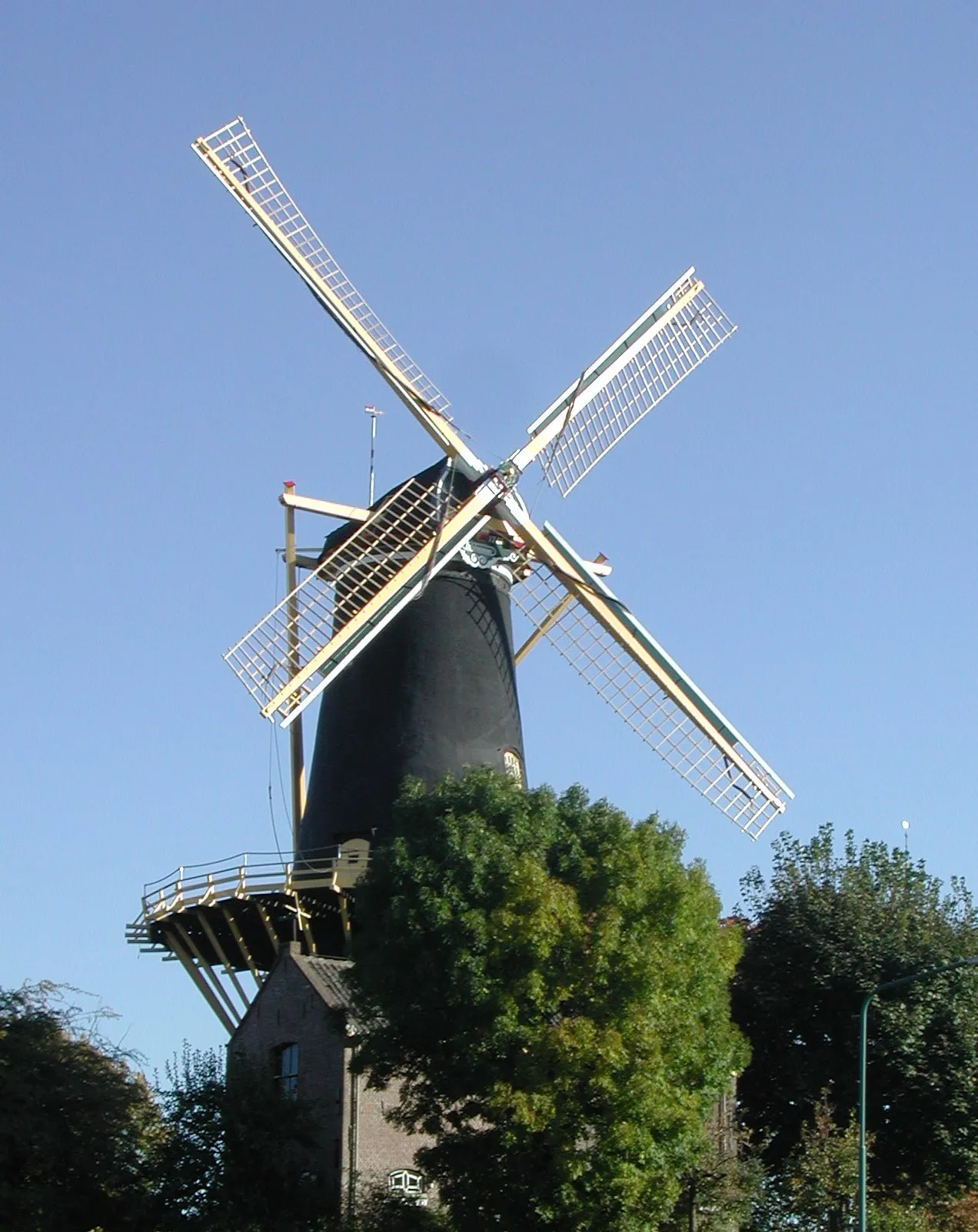 Photo showing: De Windhond, Woerden