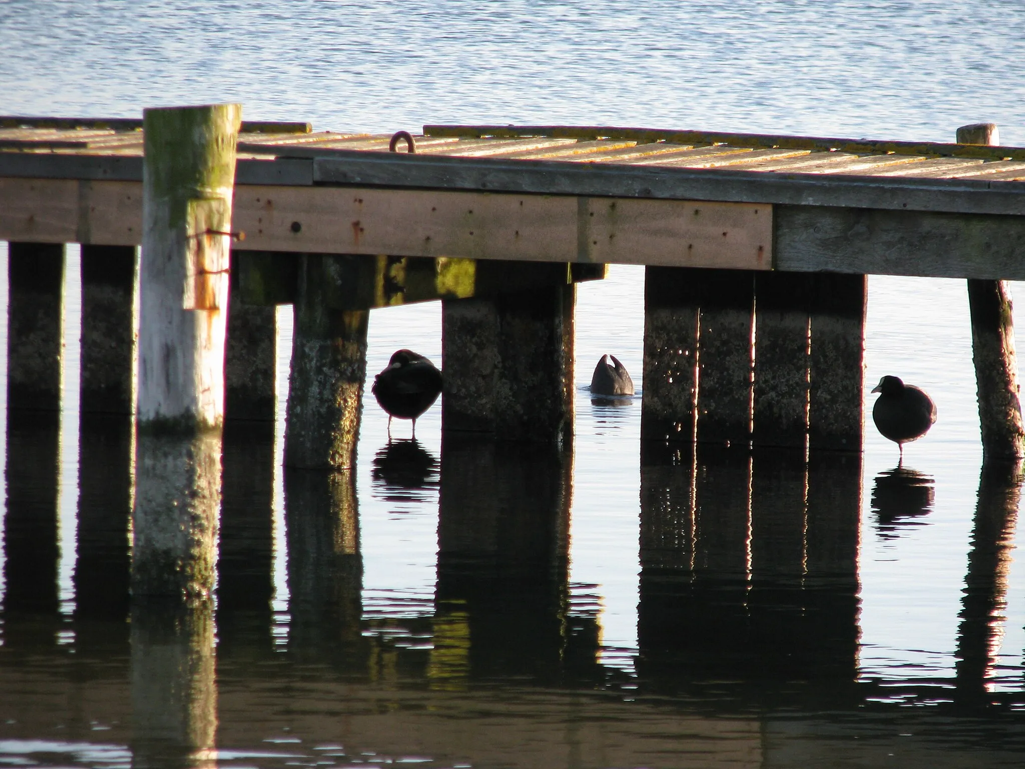 Afbeelding van Zeeland