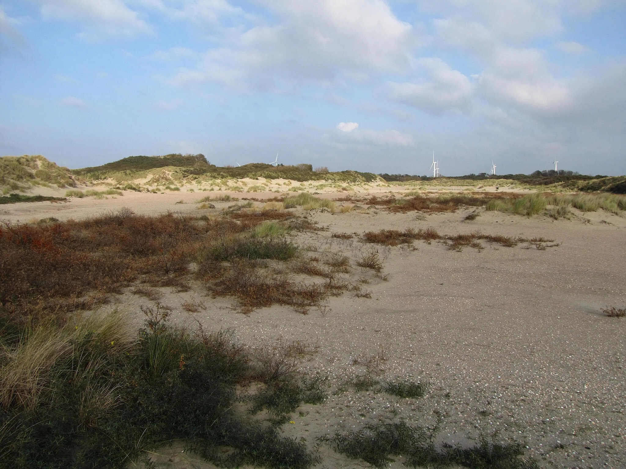 Image of Zeeland