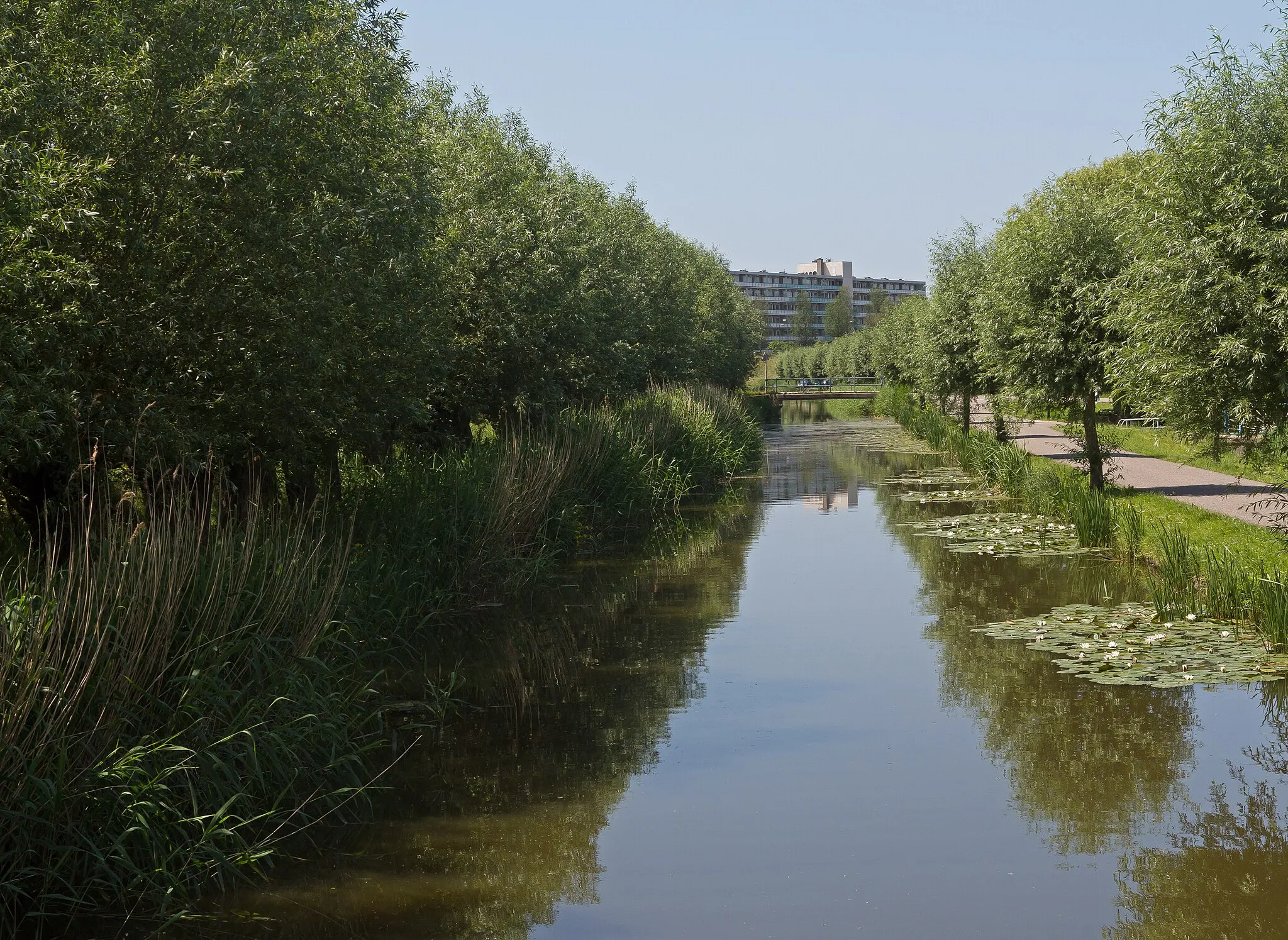 Photo showing: Maassluis, street view: de Weverskade (het Zwaluwflat in background)