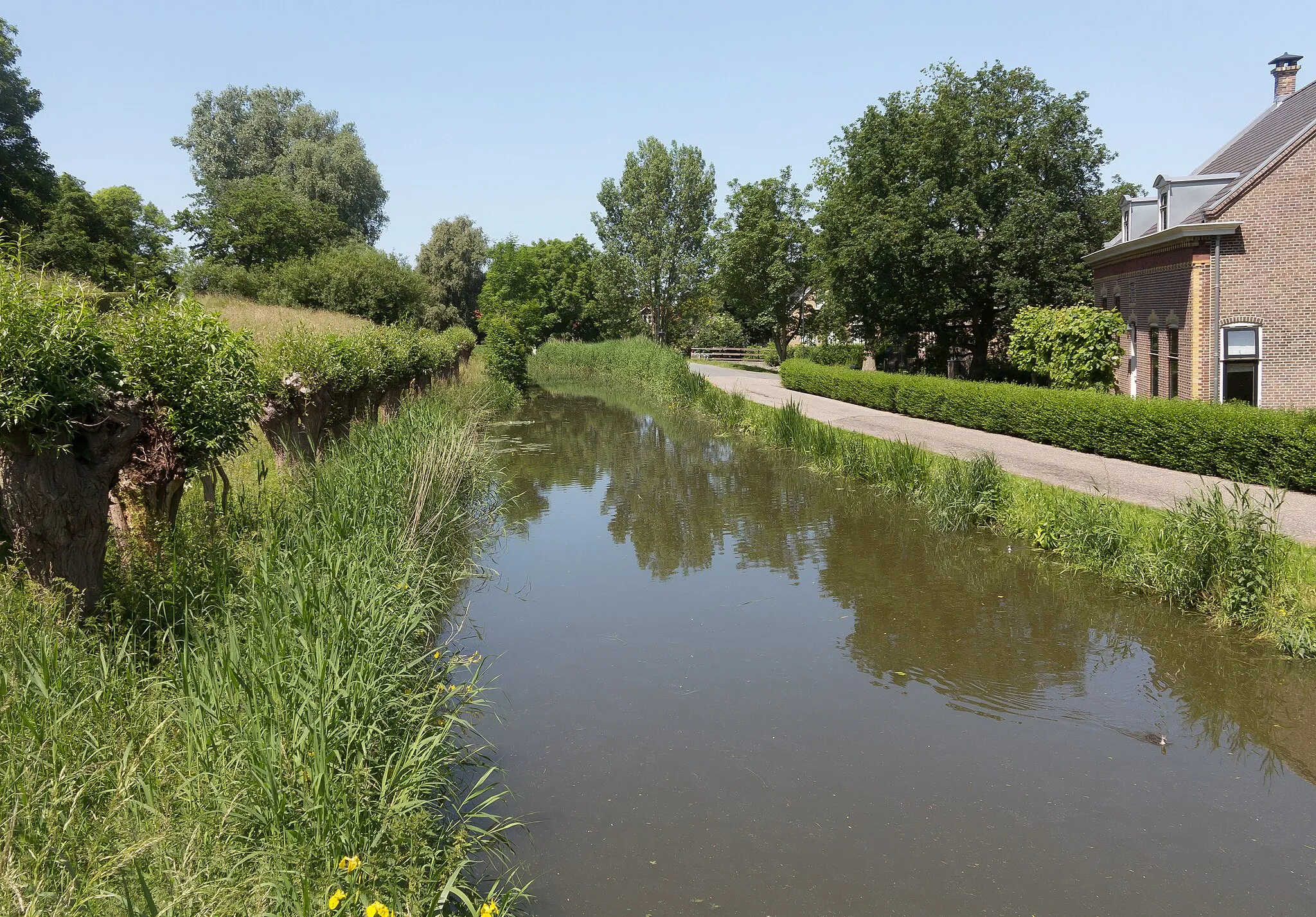 Photo showing: Maassluis, street view: de Weverskade (behind het Buizerdflat)