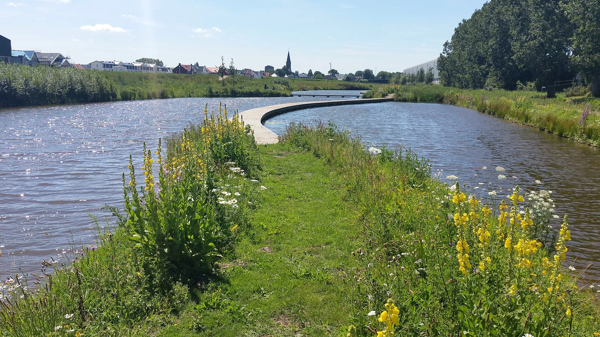 Afbeelding van Zuid-Holland