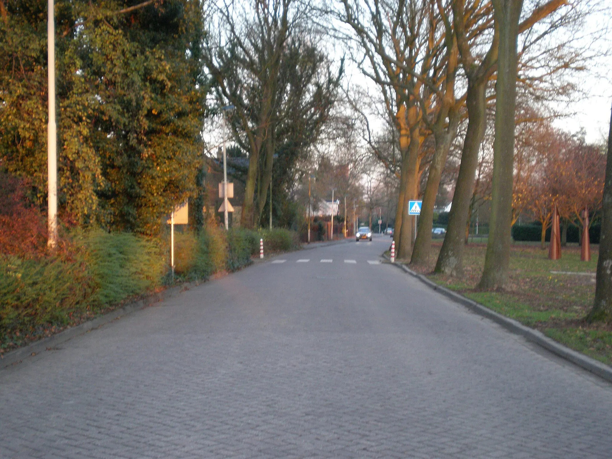 Photo showing: De Rijsdijk te Rhoon tussen Viaductweg & Kleidijk