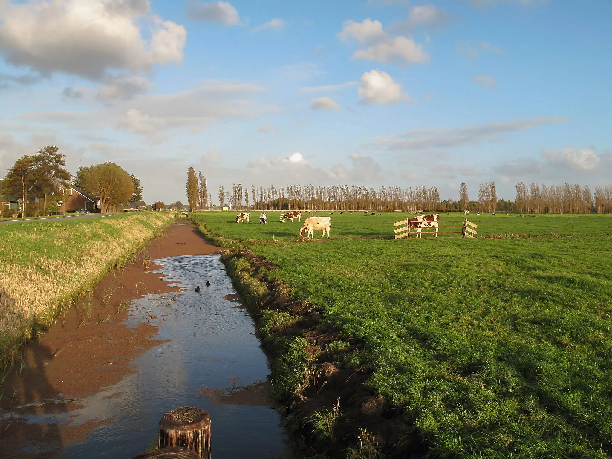 Photo showing: between Roelofarendsveen and Hoogmade, view to the polder