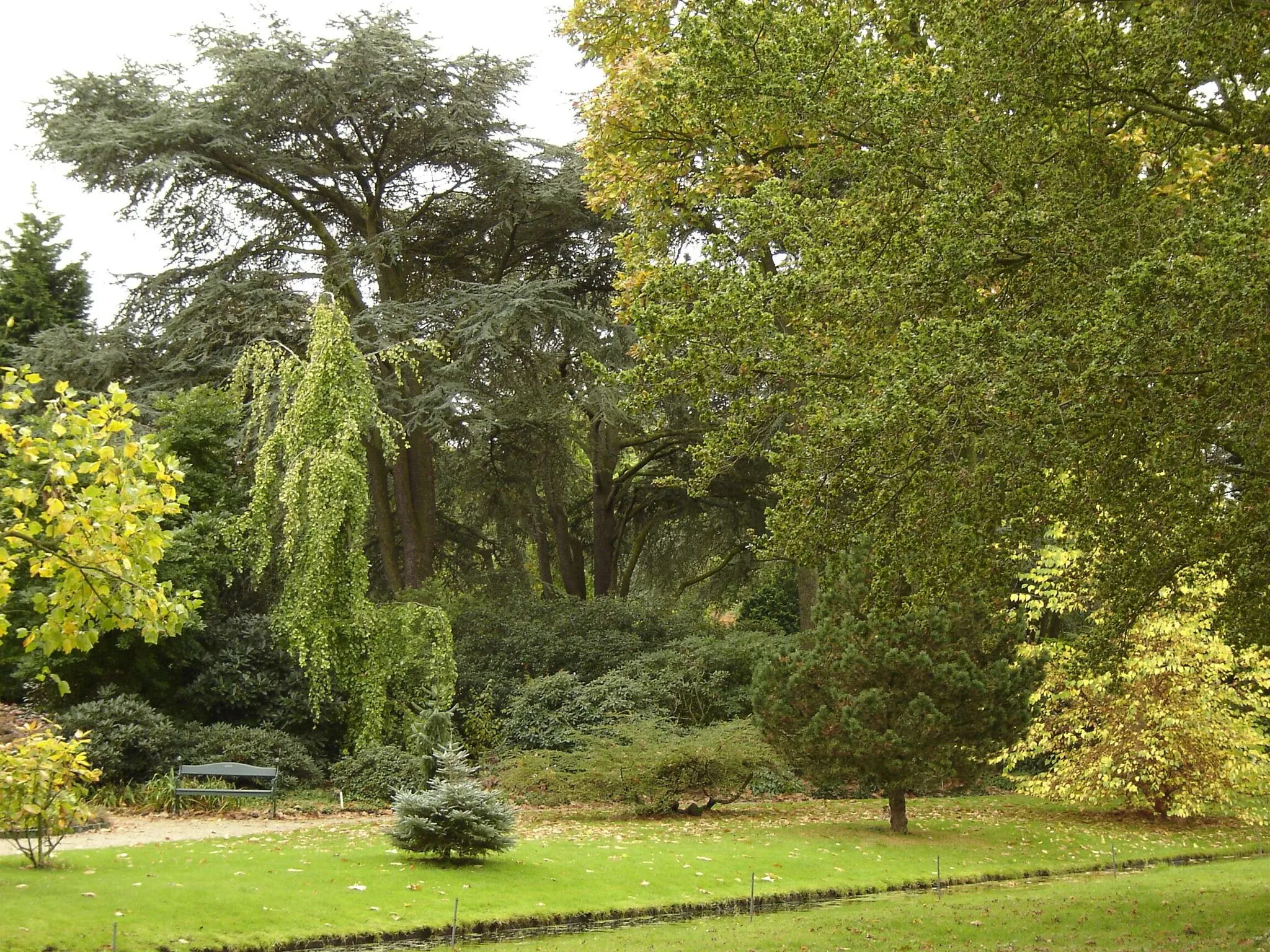 Photo showing: Arboretum Trompenburg, Rotterdam, Netherlands