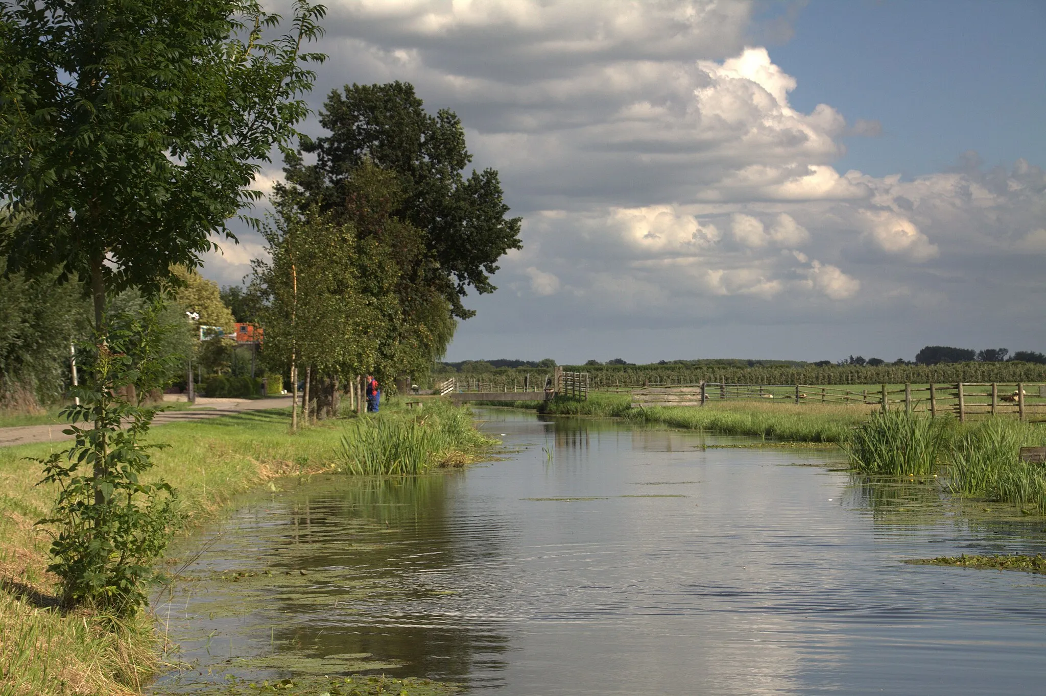 Afbeelding van Schoonrewoerd