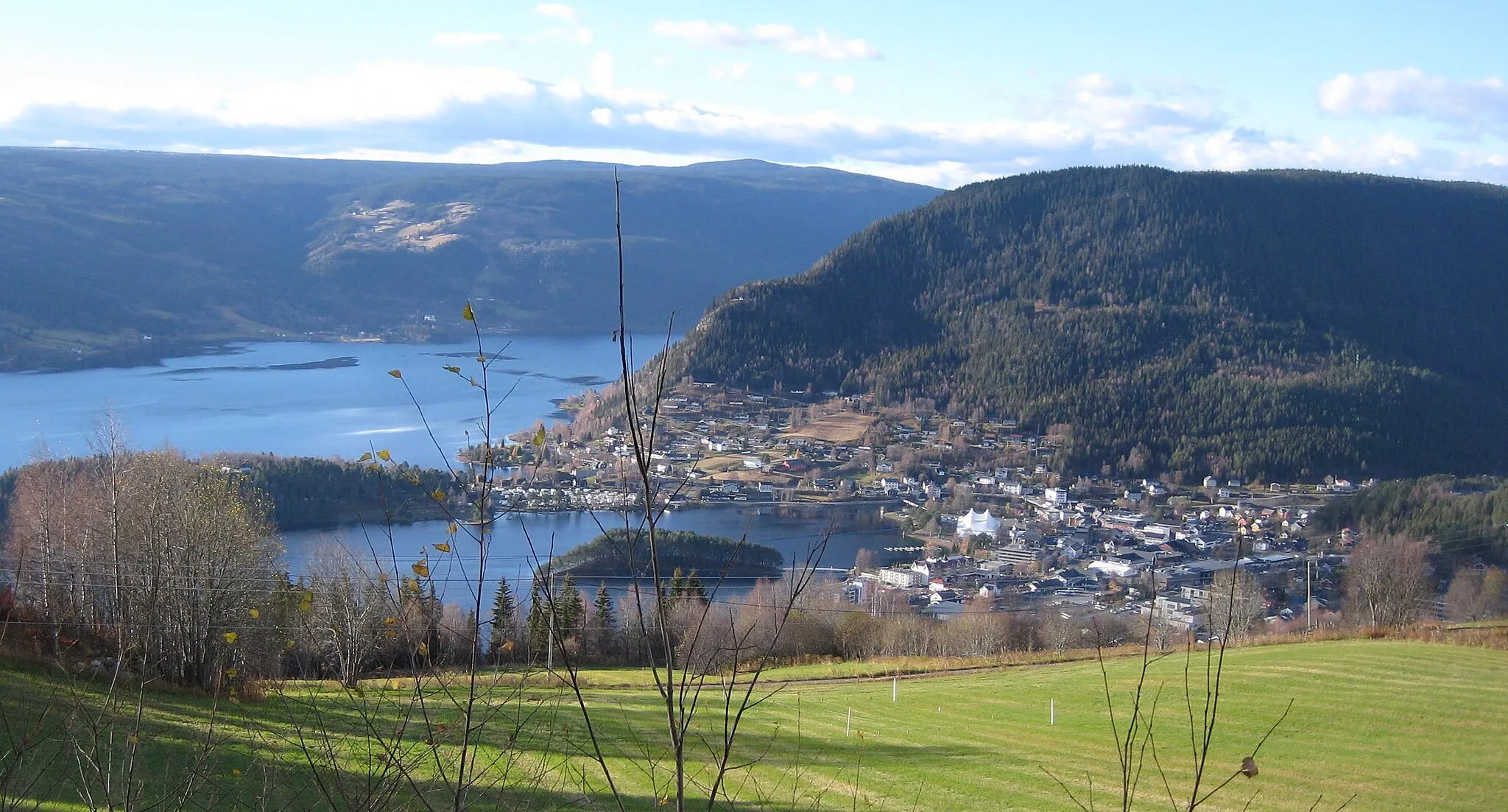 Image of Fagernes