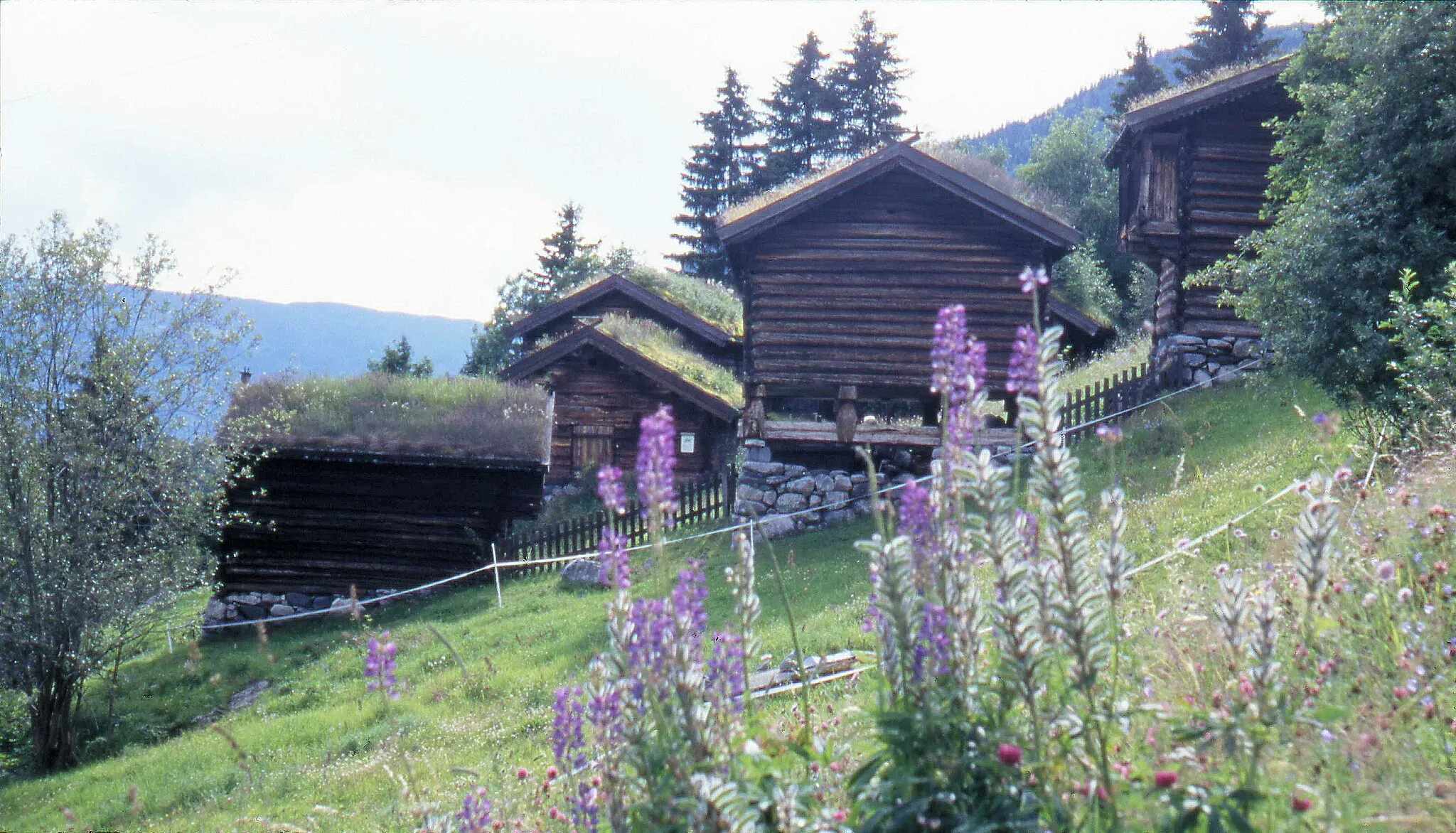 Photo showing: Turfed roof on timberhouses in the rural district. Ål in Hallingdal, Buskeud County, Norway