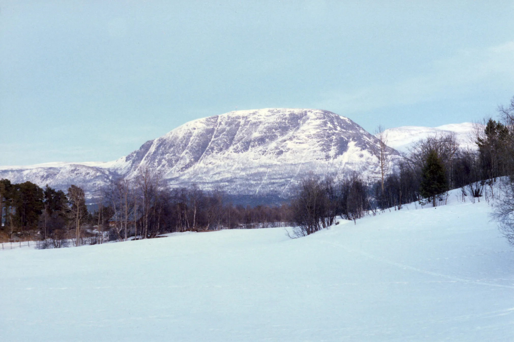 Bilde av Trøndelag