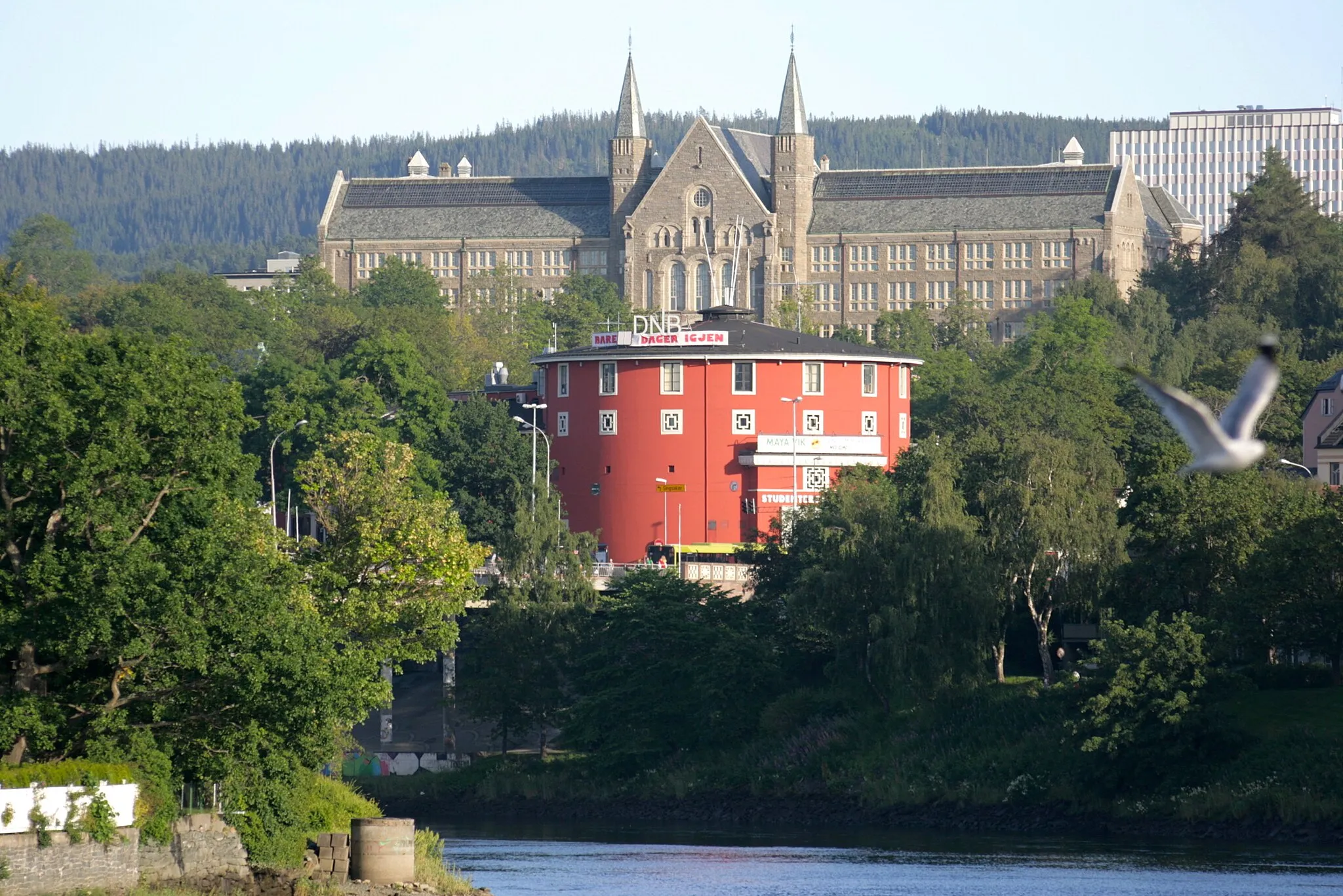 Photo showing: Trondheim student house (front, red) and university (back)