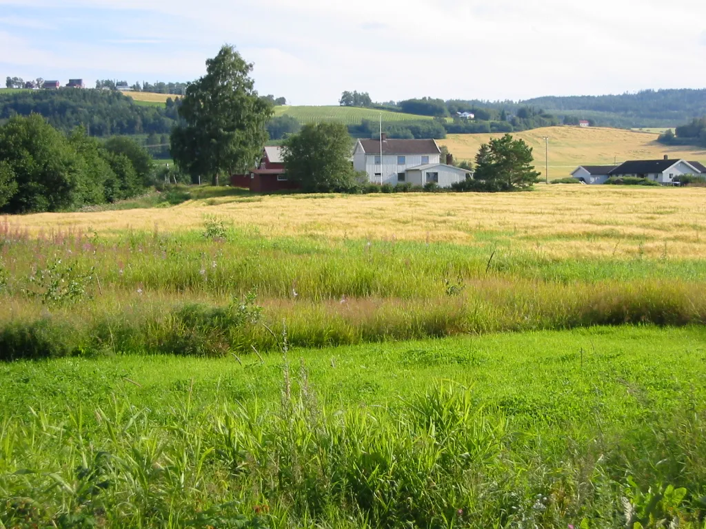 Photo showing: Typical agricultural landscape in Verdal, near Trondheimsfjord, Nord-Trøndelag county, Norway.